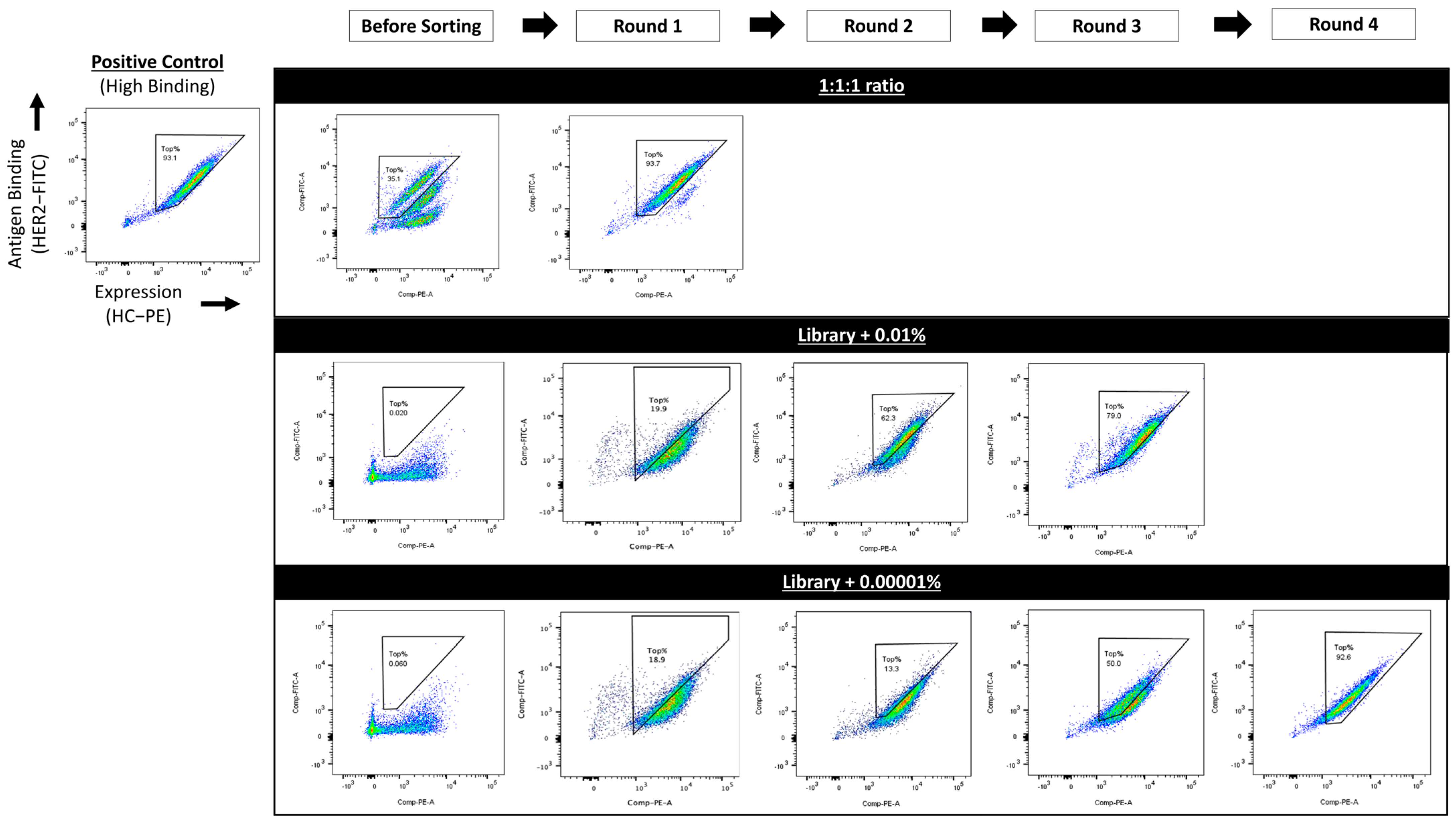 Antibodies 14 00038 g006 Antibodies 14 00038 g006