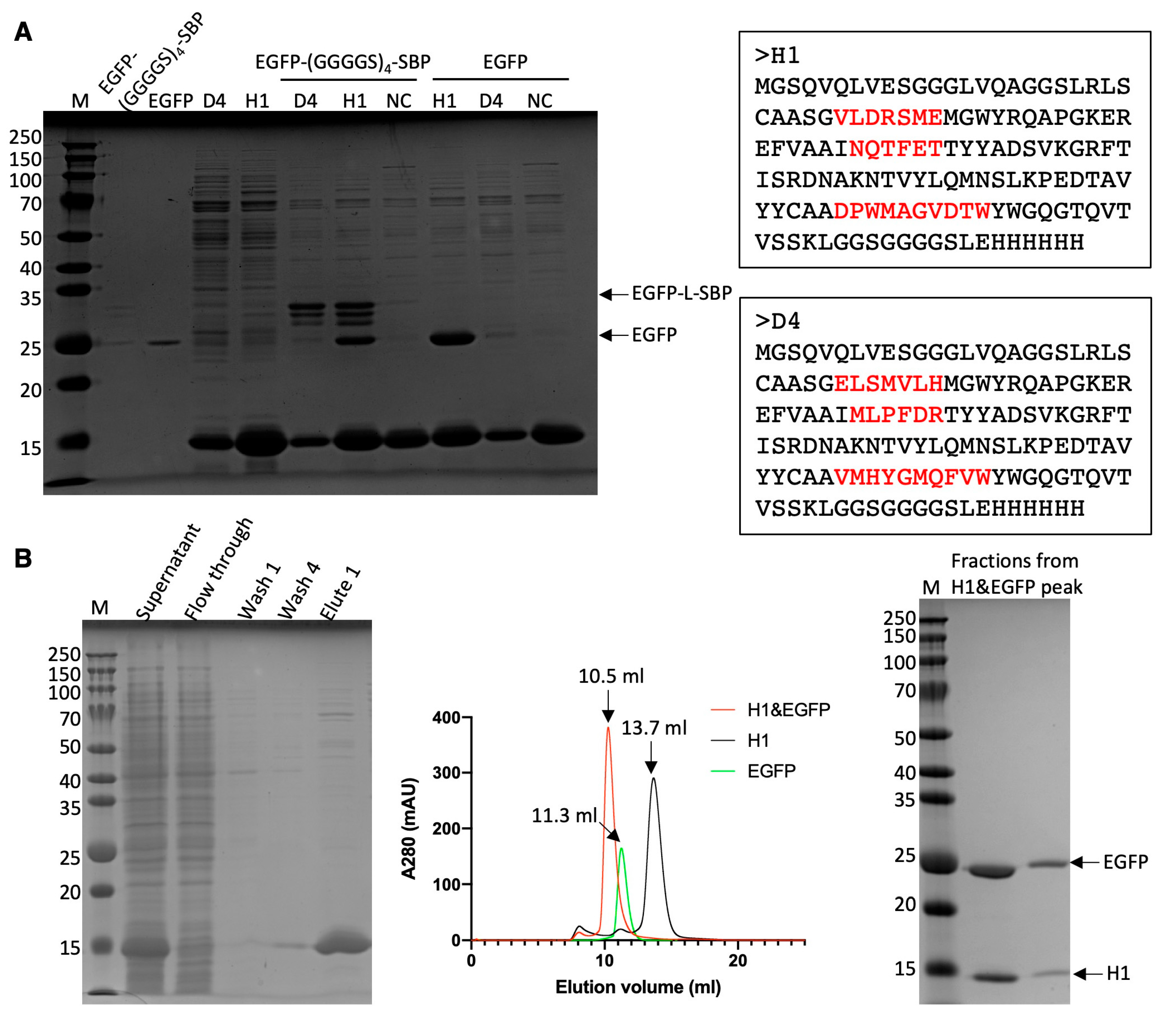 Antibodies 14 00039 g005