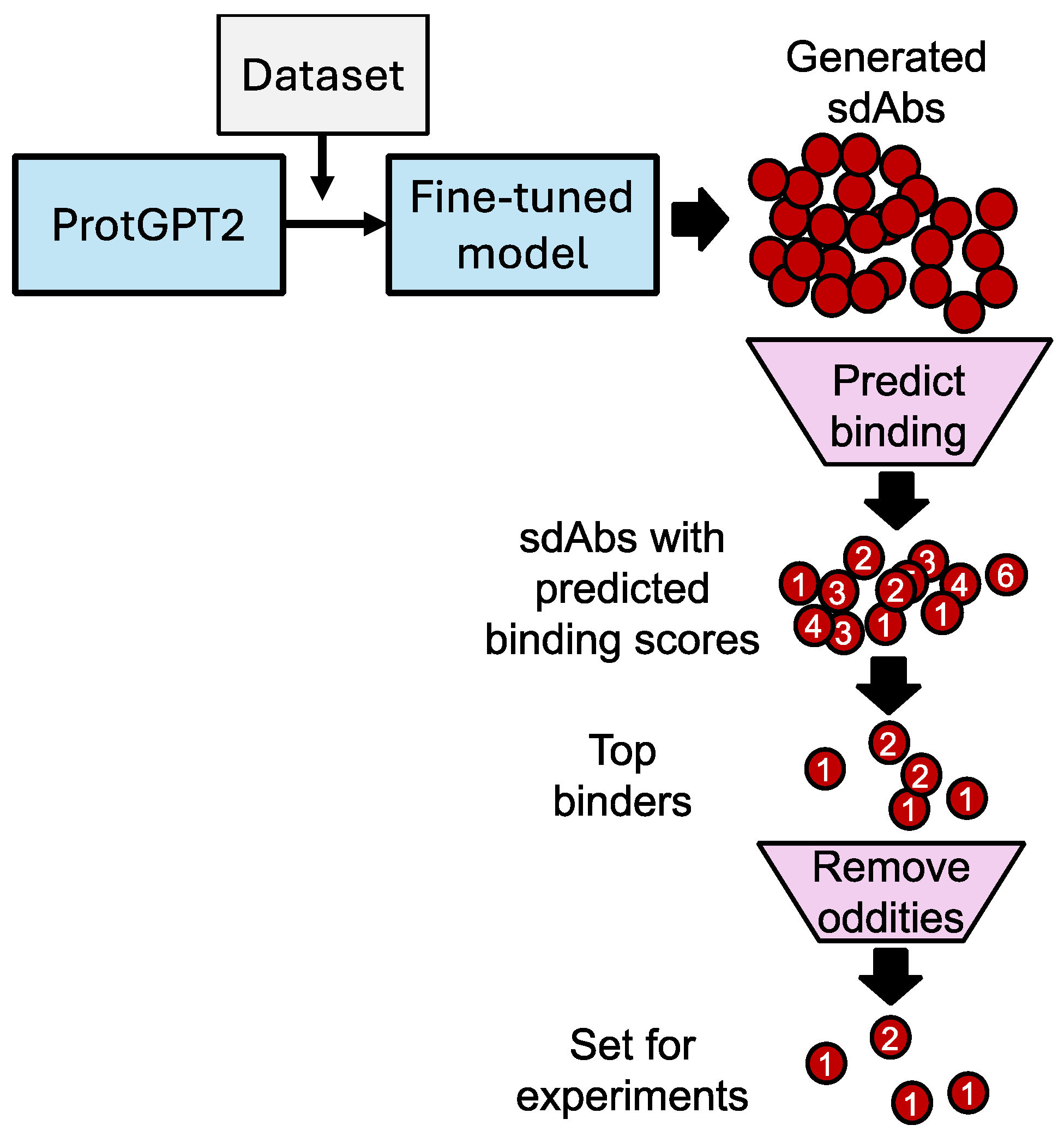 Antibodies 14 00041 g001