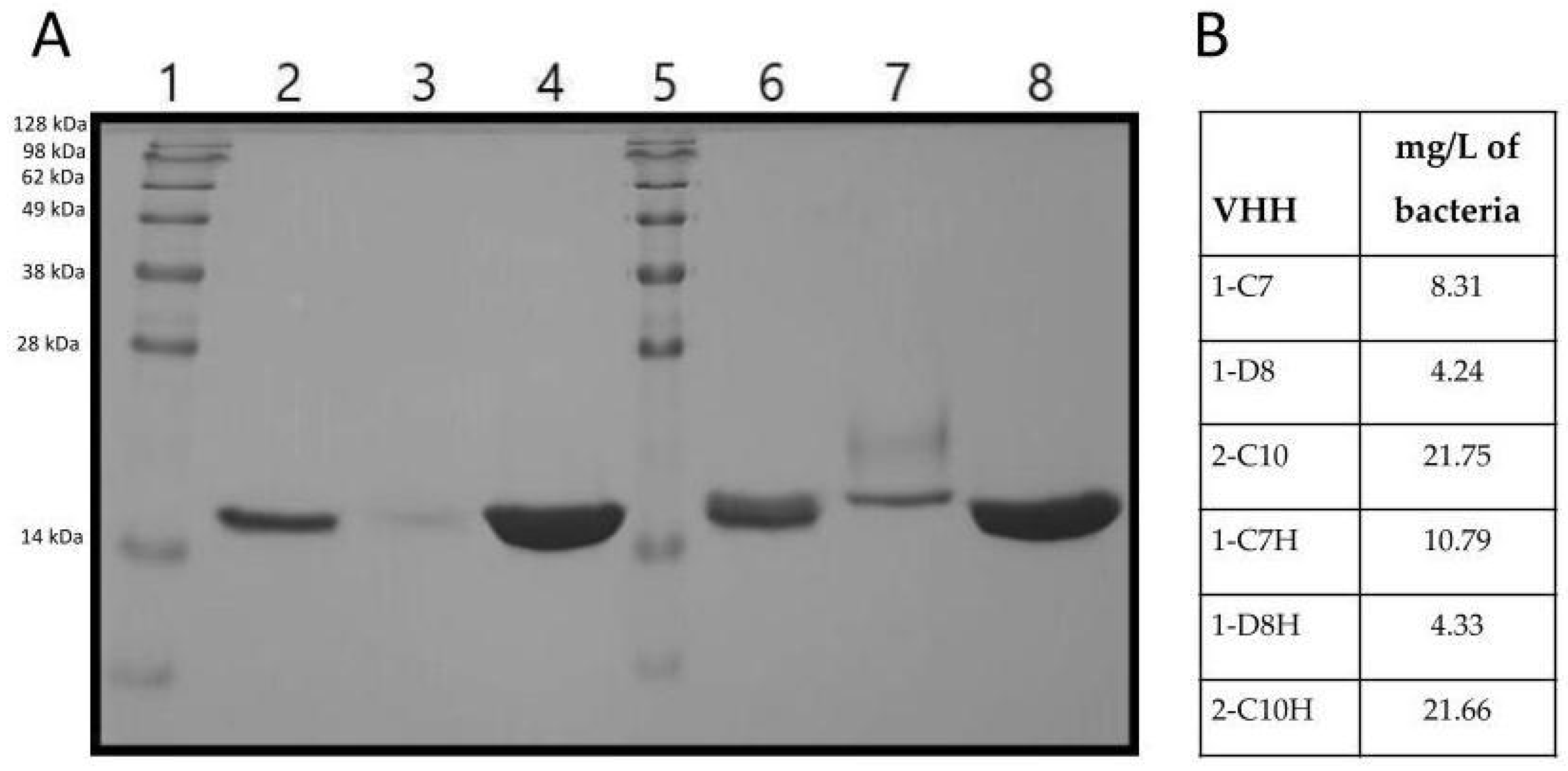 Antibodies 14 00042 g002