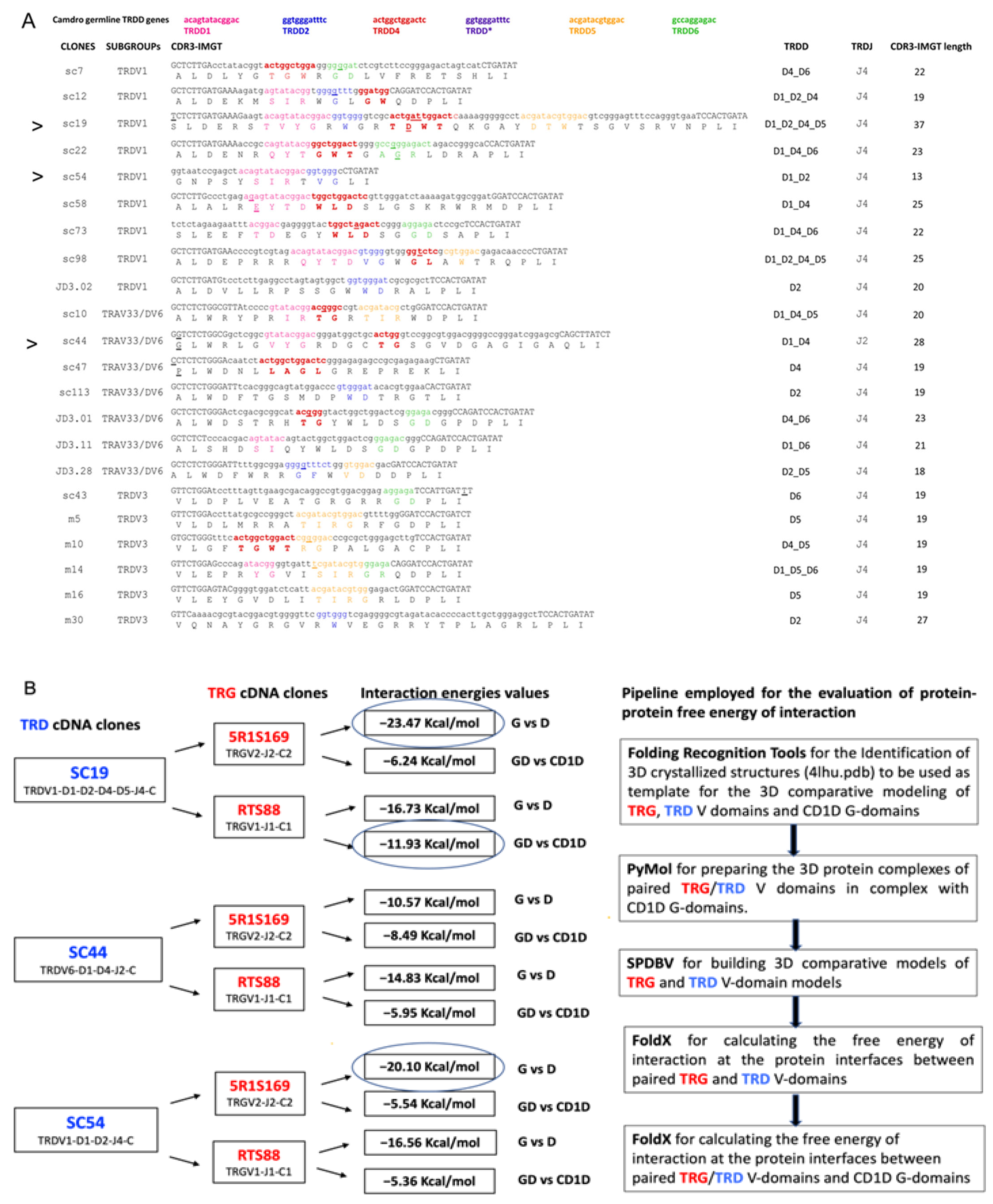 Antibodies 14 00046 g001