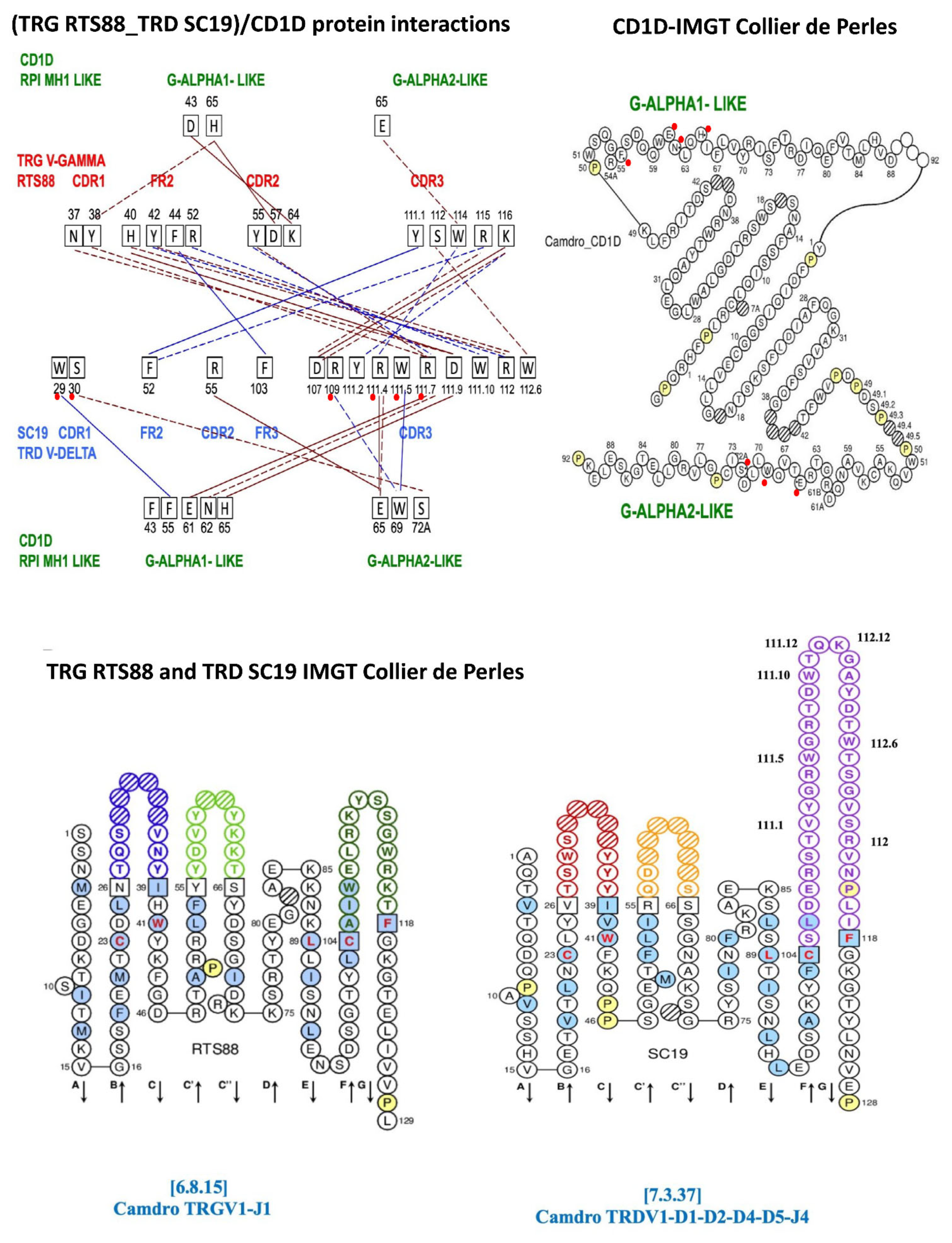 Antibodies 14 00046 g002