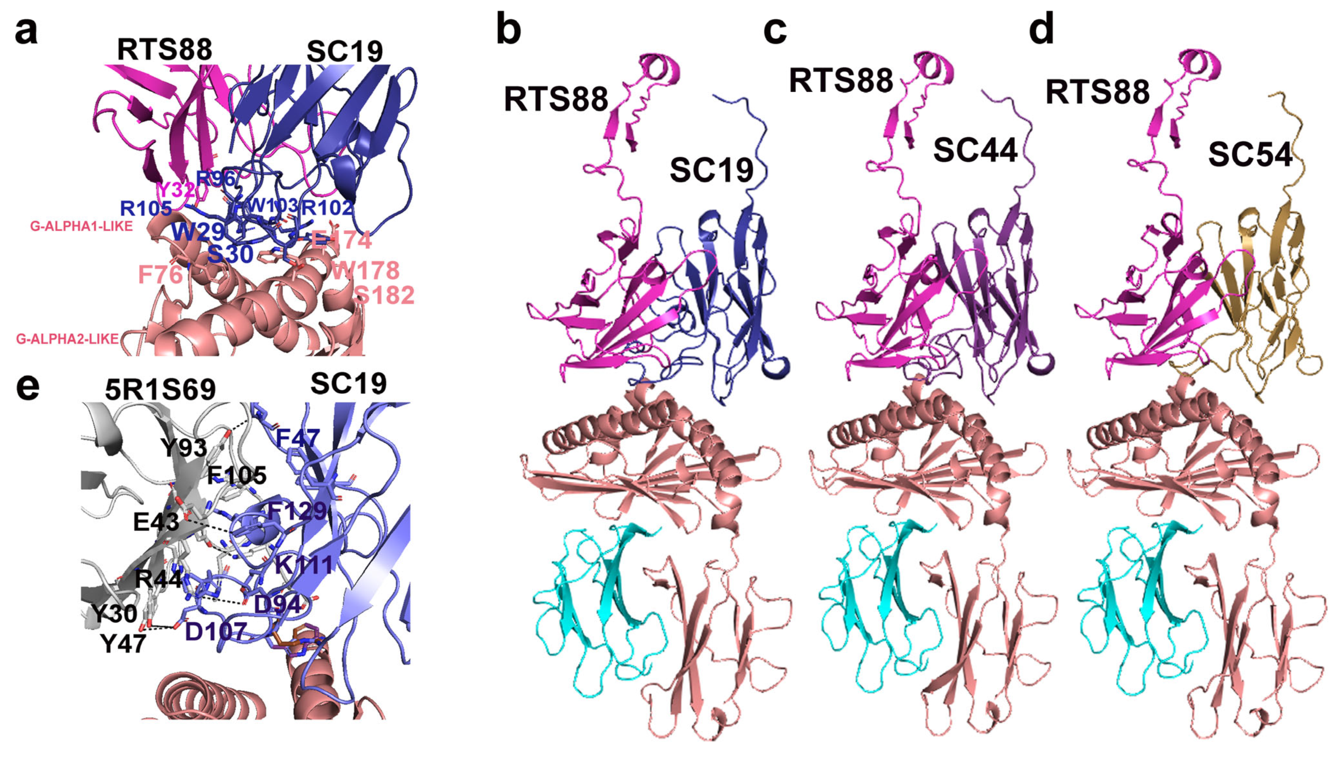 Antibodies 14 00046 g003