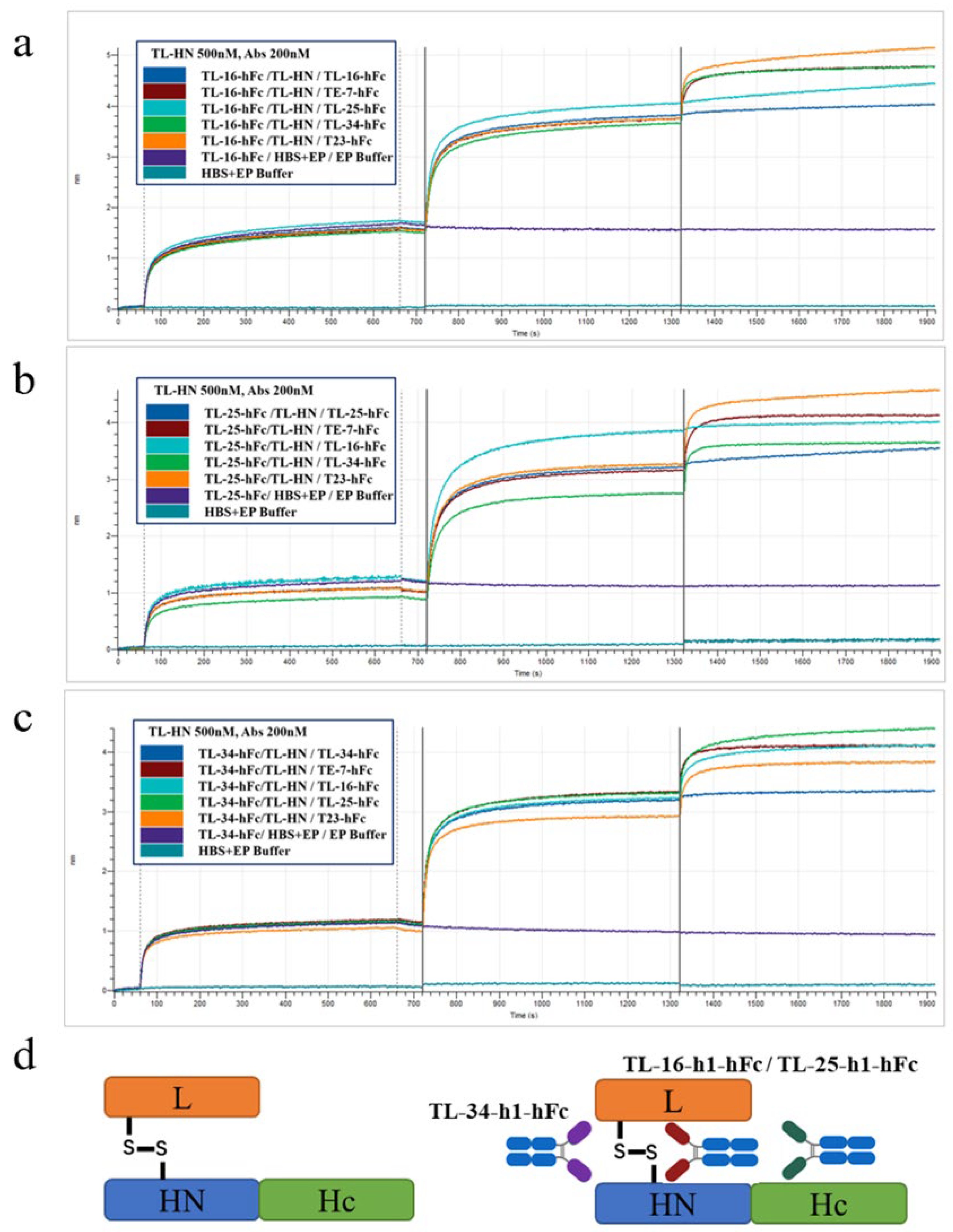 Antibodies 14 00048 g003
