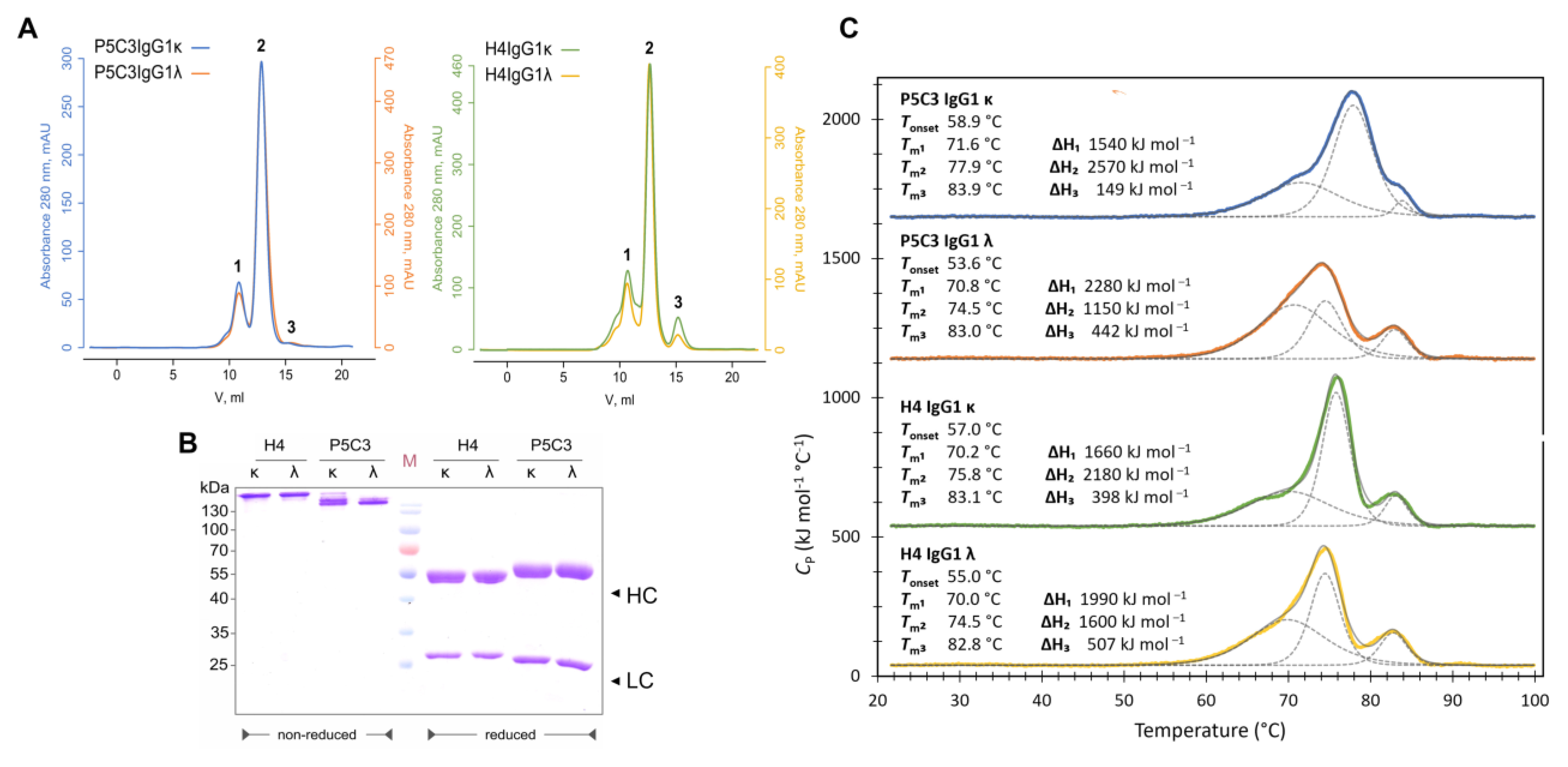Antibodies 14 00050 g001