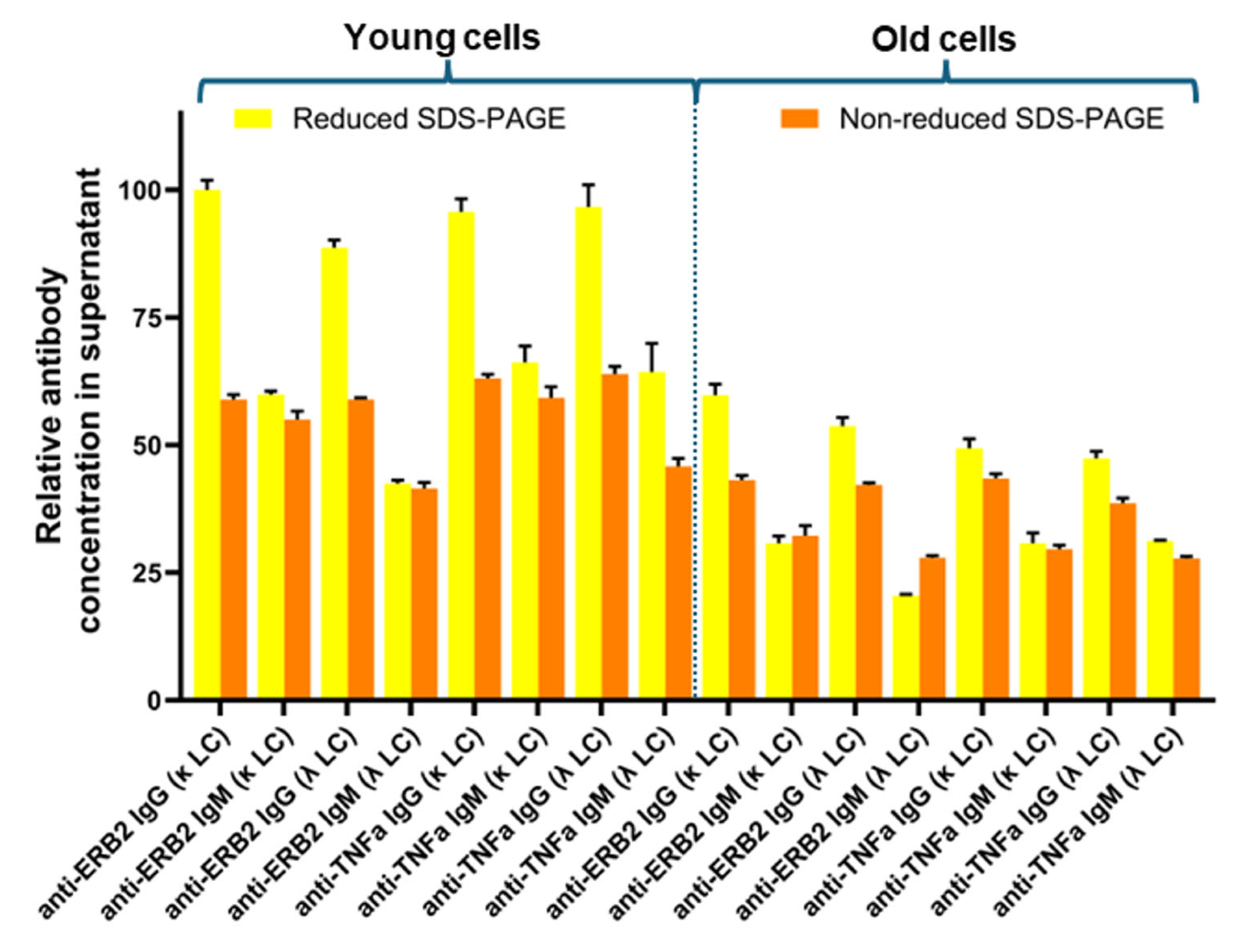 Antibodies 14 00053 g002