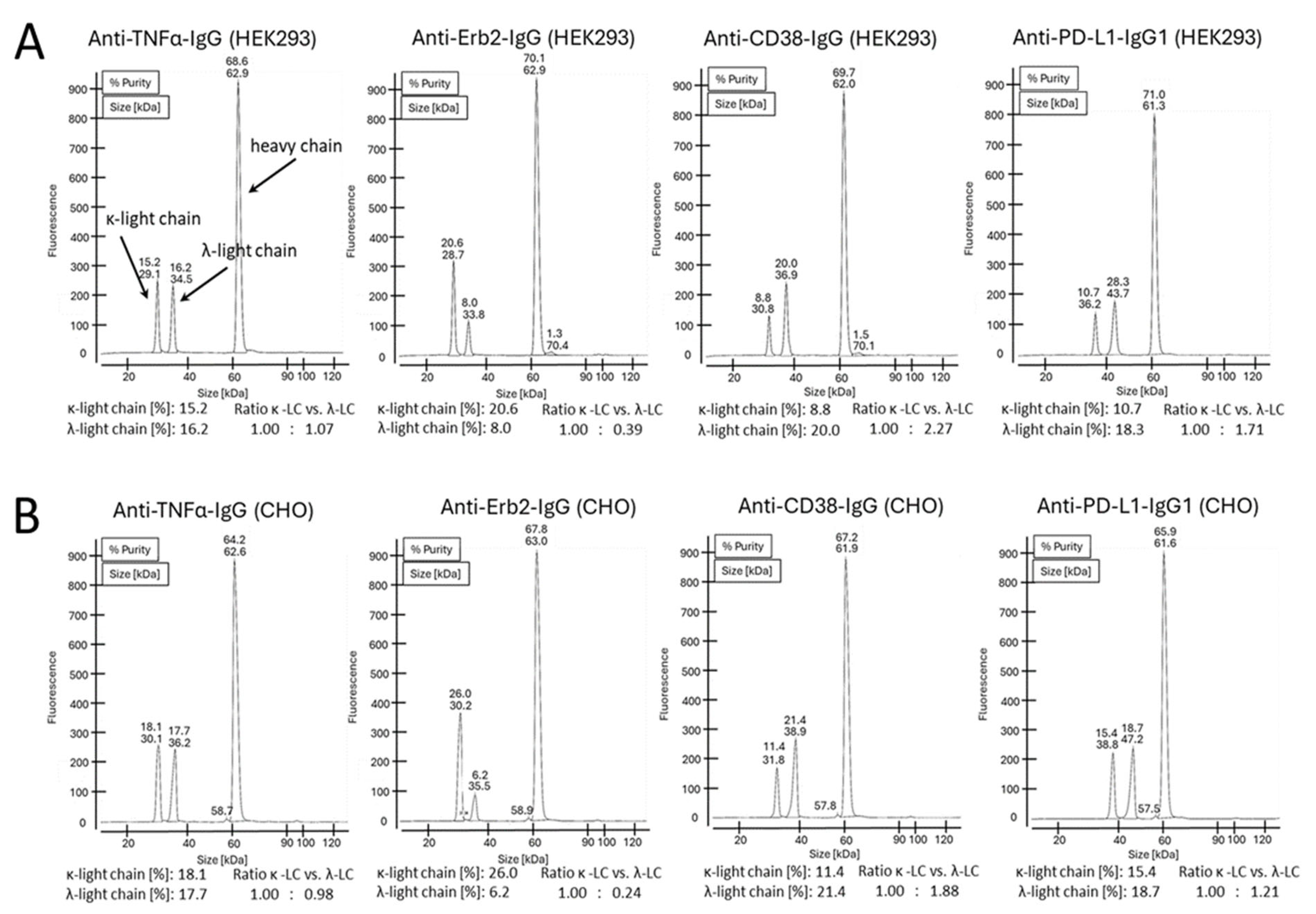 Antibodies 14 00053 g005