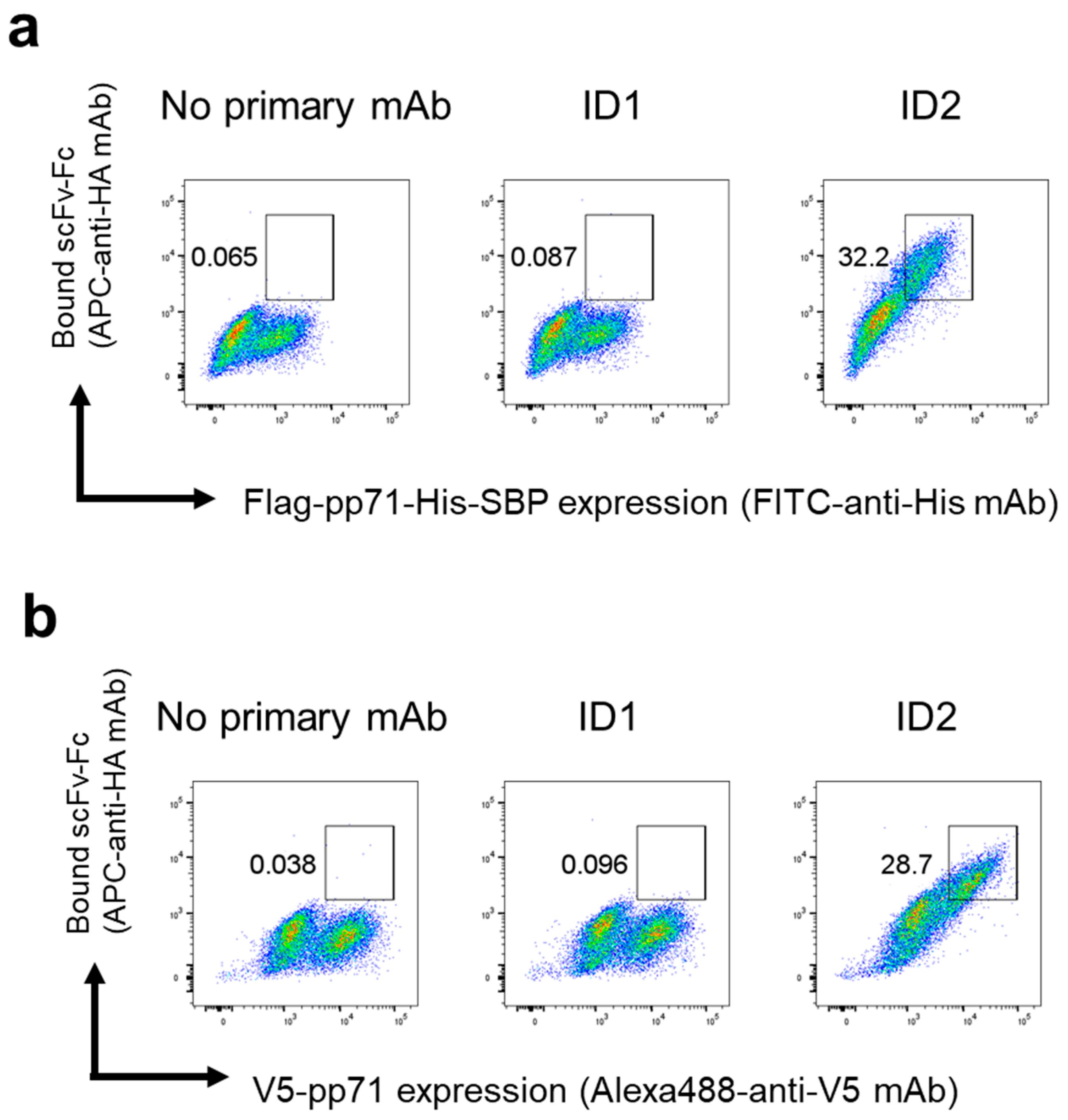 Antibodies 14 00057 g002