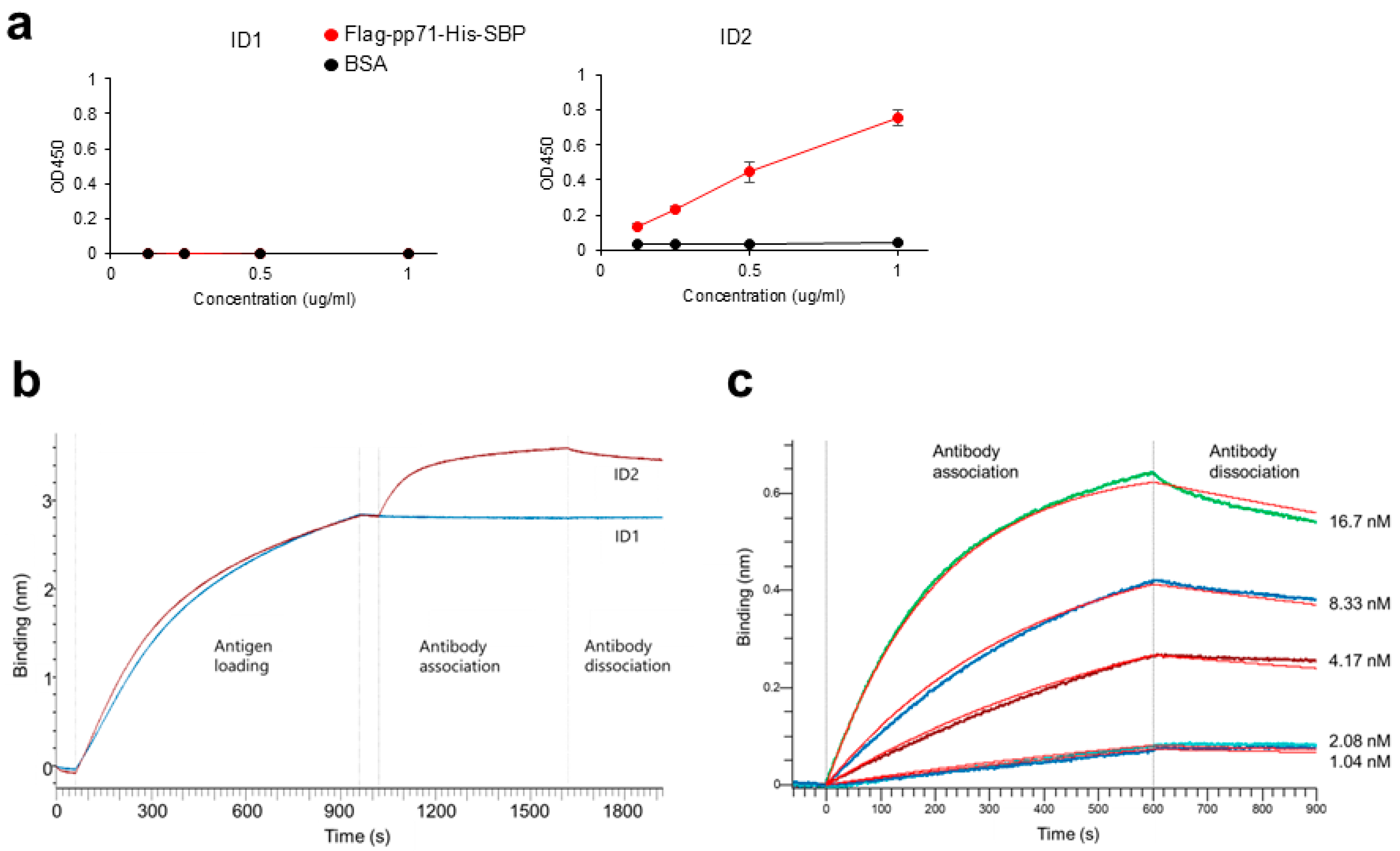 Antibodies 14 00057 g004