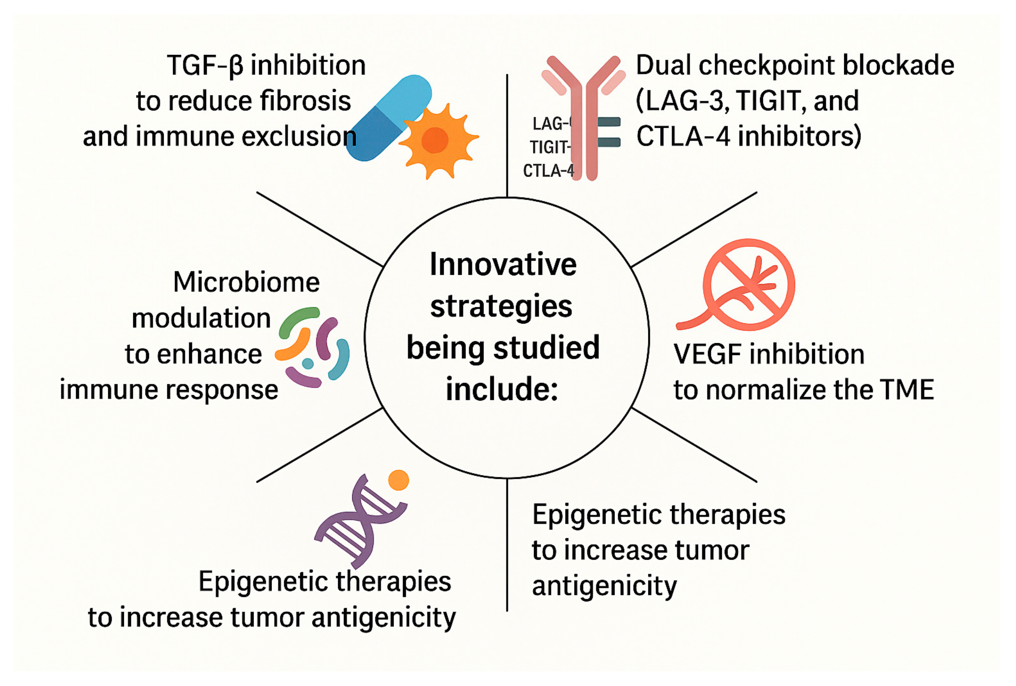 Antibodies 14 00058 g003