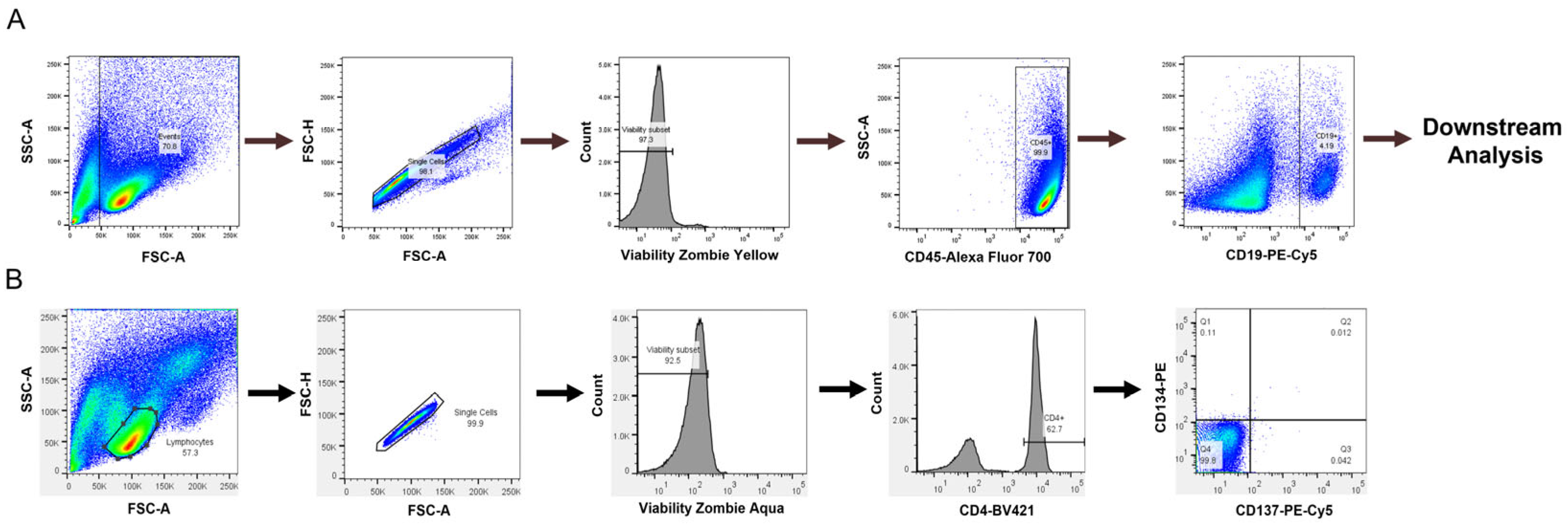 Antibodies 14 00062 g001