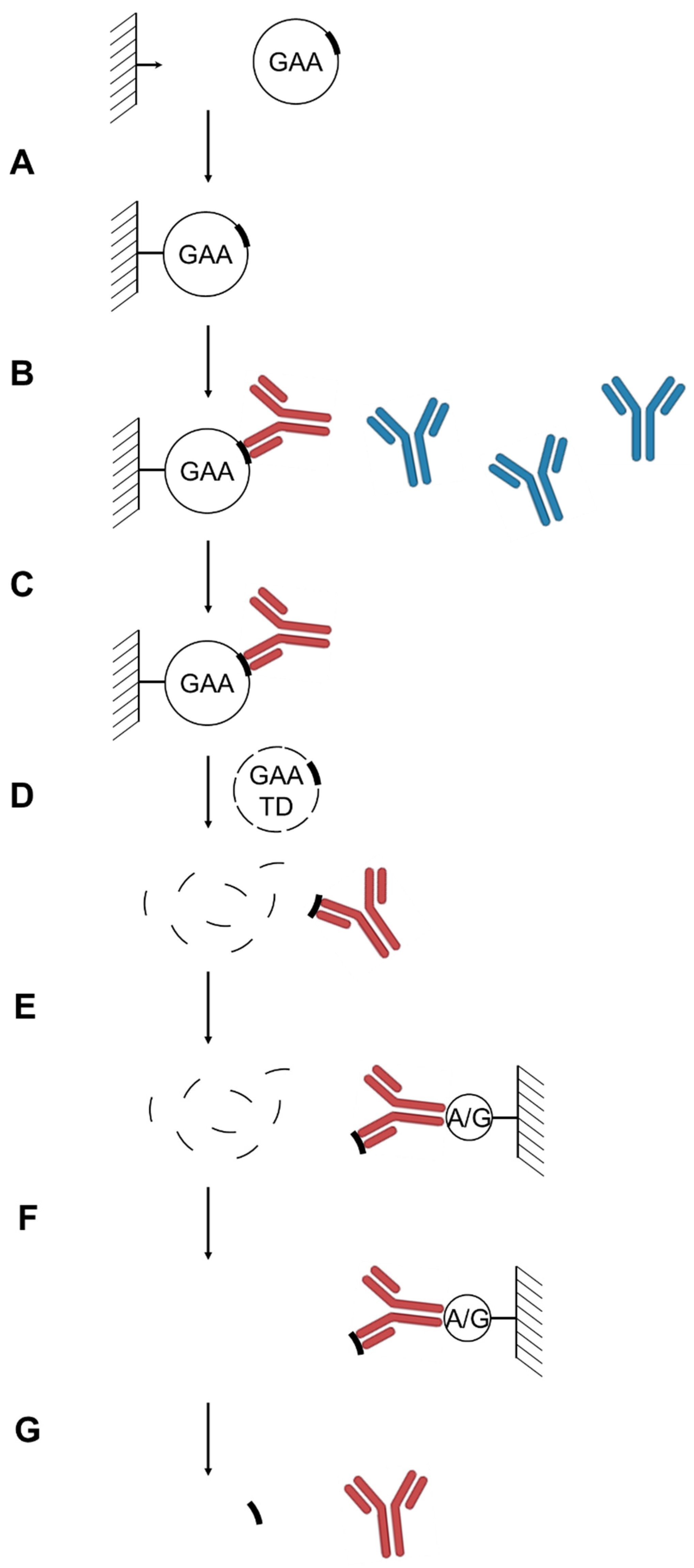 Antibodies 14 00064 g001