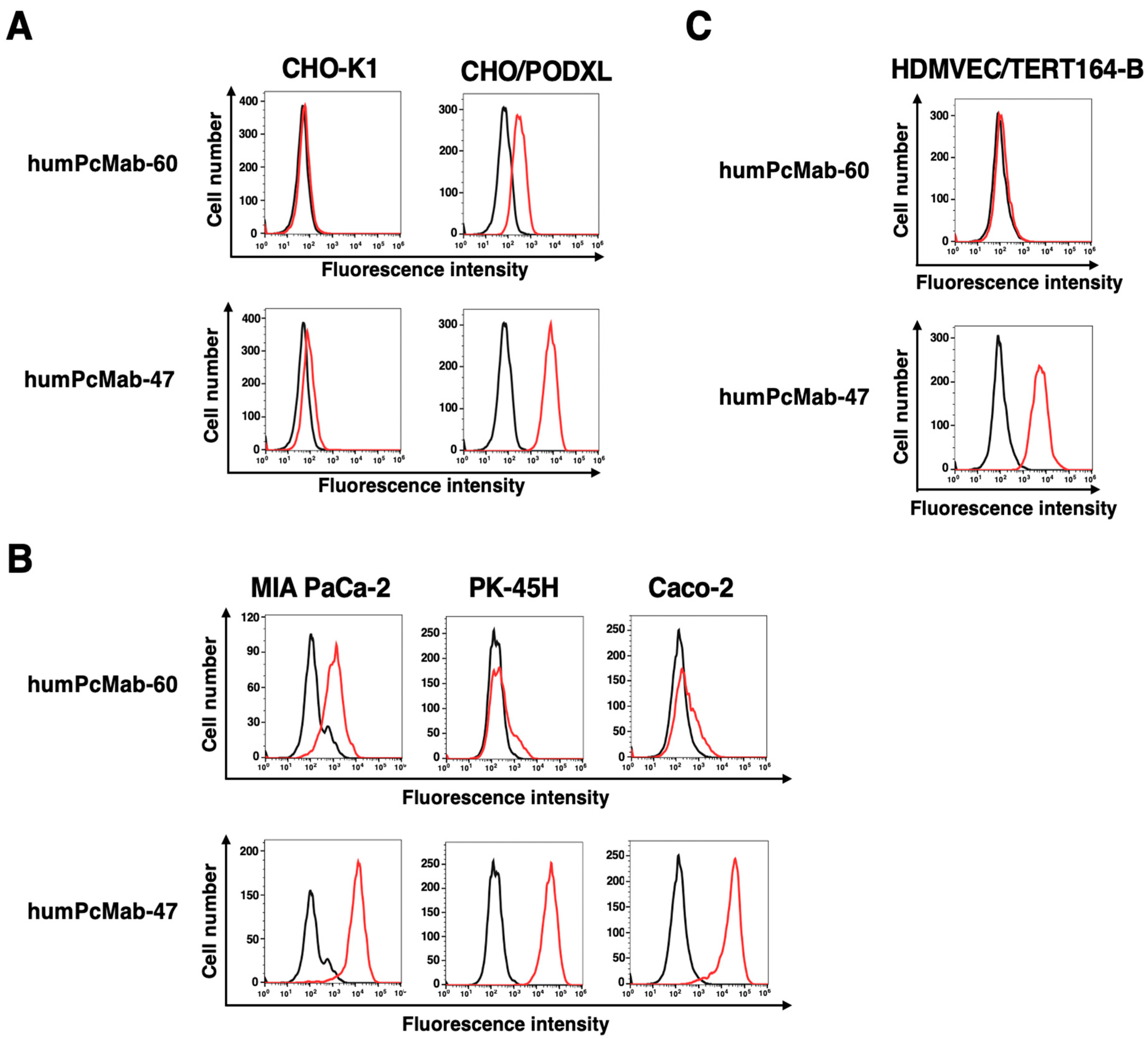 Antibodies 14 00067 g002 Antibodies 14 00067 g002