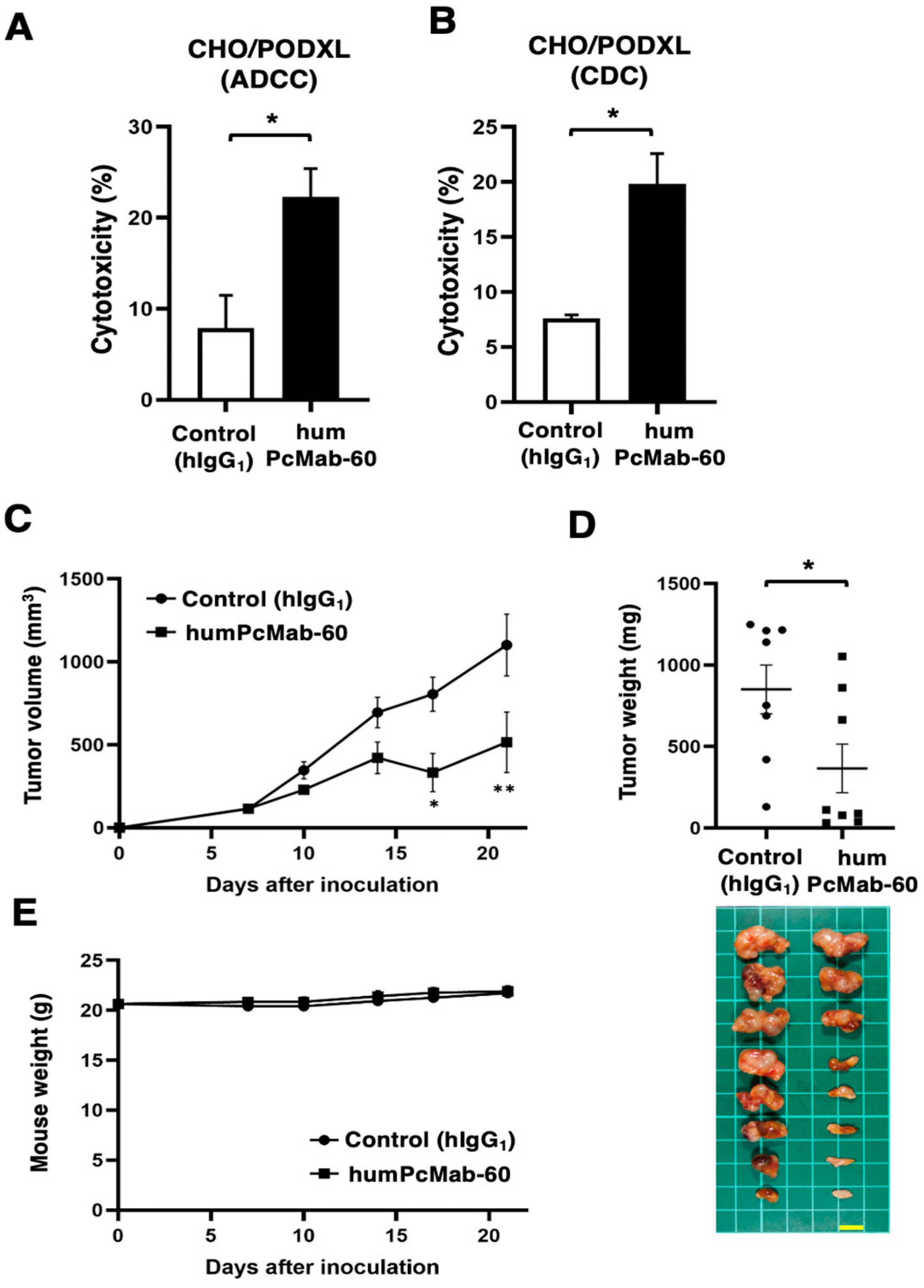 Antibodies 14 00067 g003 Antibodies 14 00067 g003