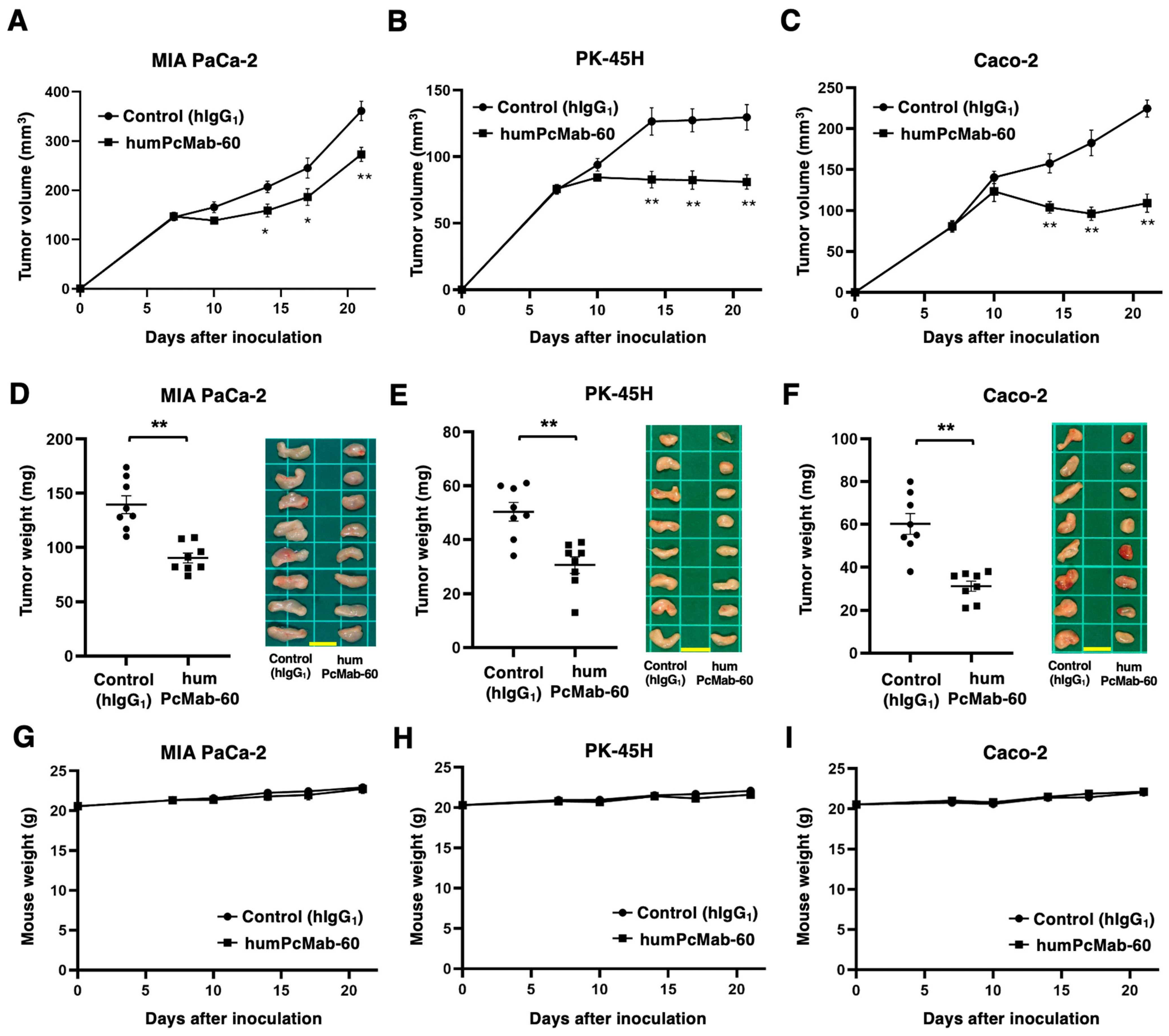 Antibodies 14 00067 g005 Antibodies 14 00067 g005