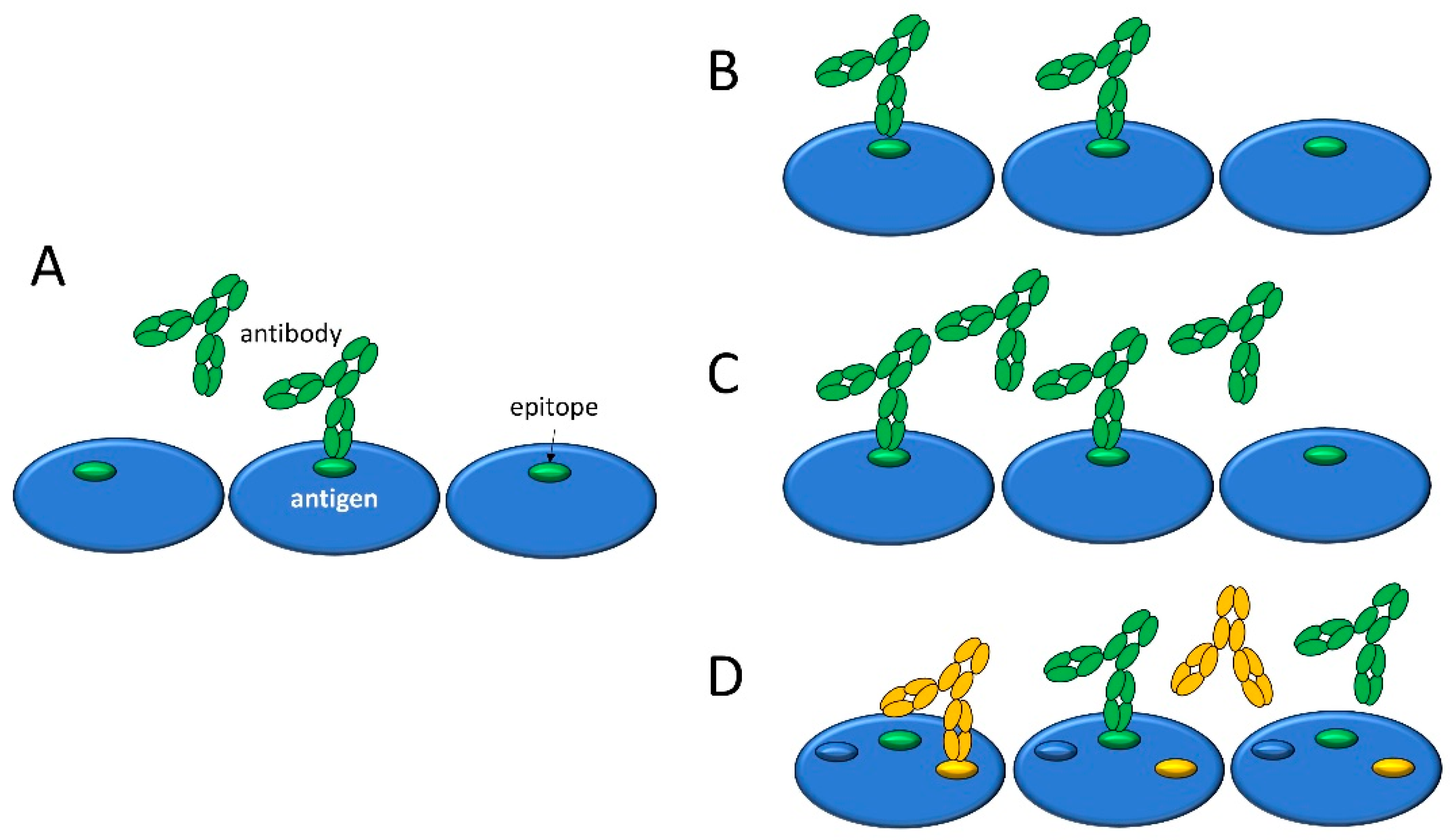 Antibodies 14 00068 g001 Antibodies 14 00068 g001