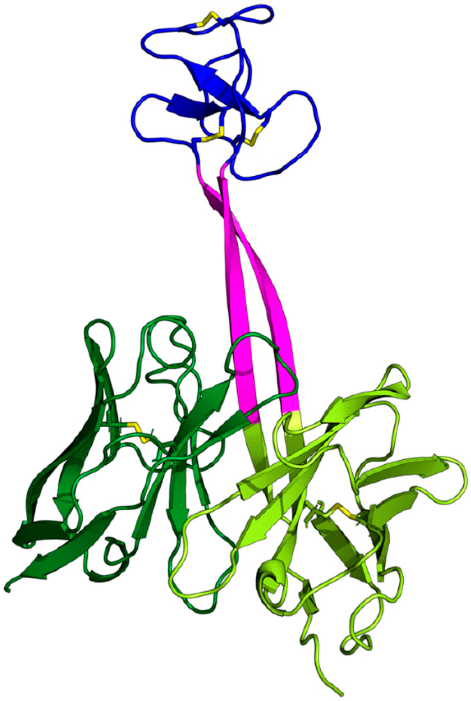 Antibodies 14 00070 g001 Antibodies 14 00070 g001