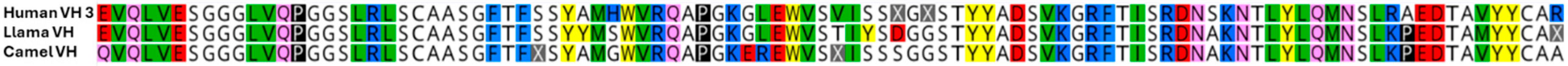 Antibodies 14 00071 g003