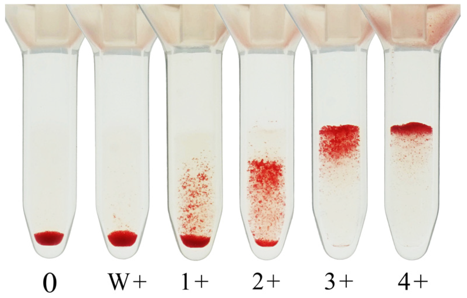 Antibodies 14 00078 g002