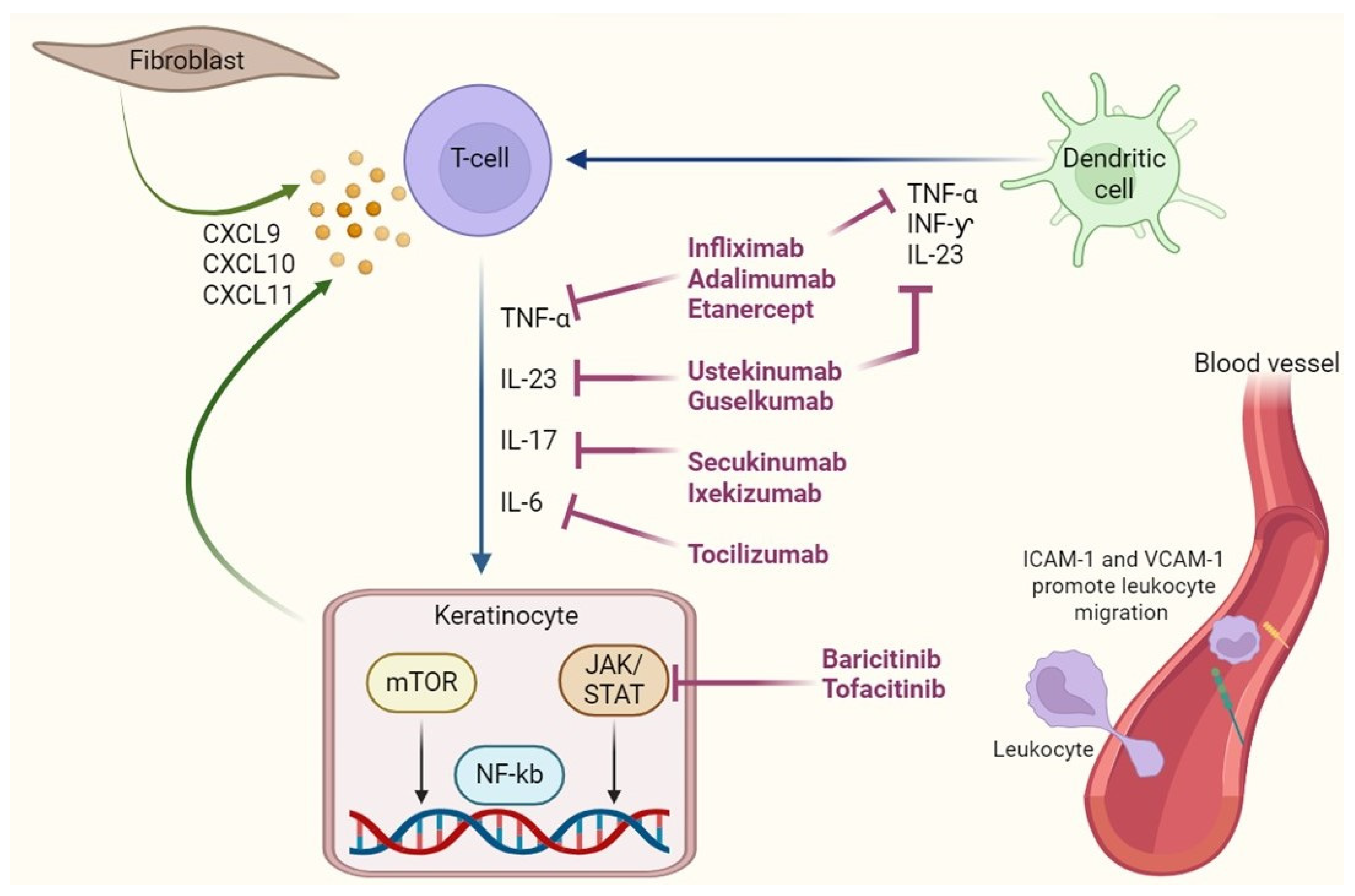 Antibodies 14 00079 g001