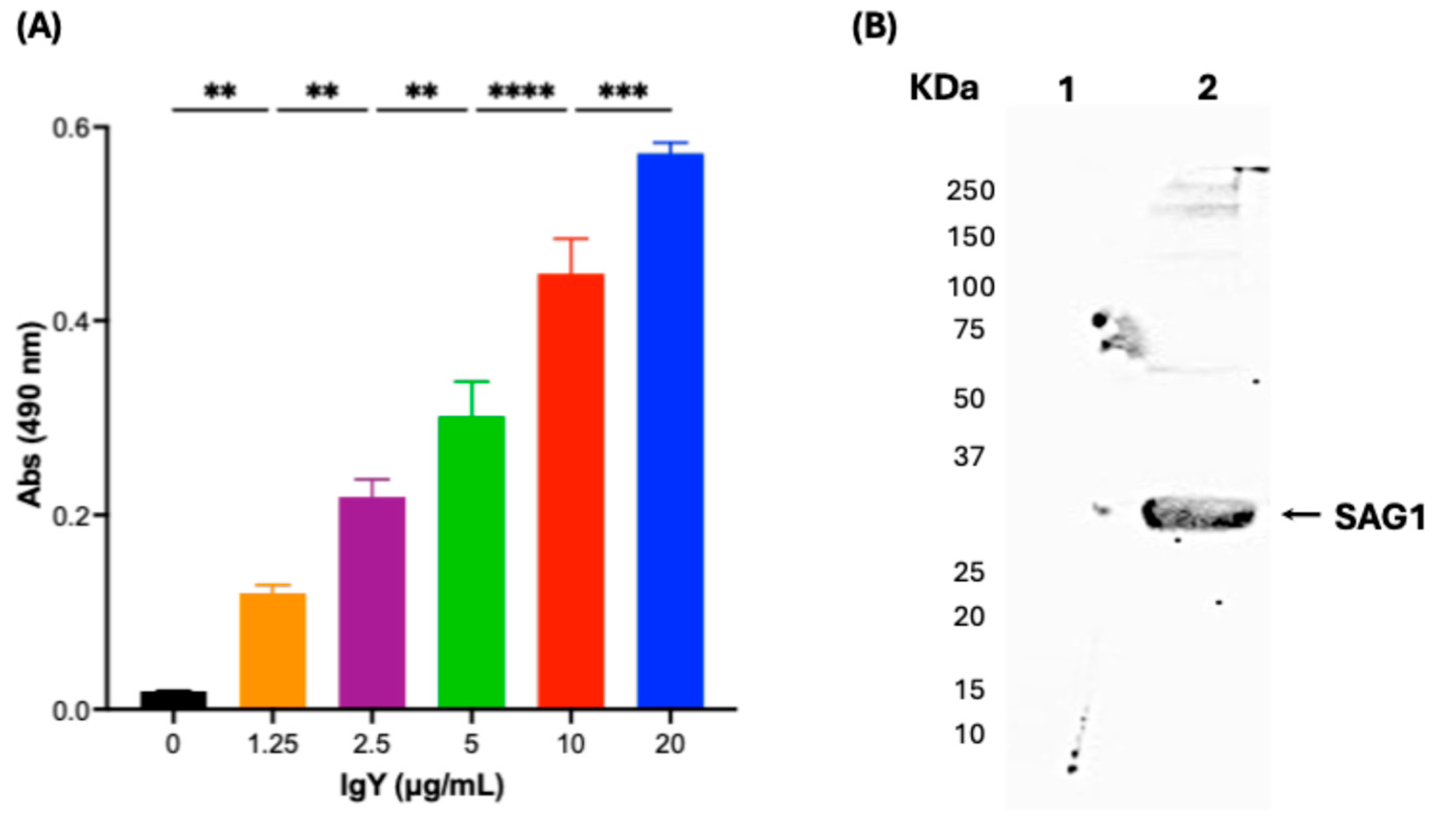 Antibodies 14 00081 g004
