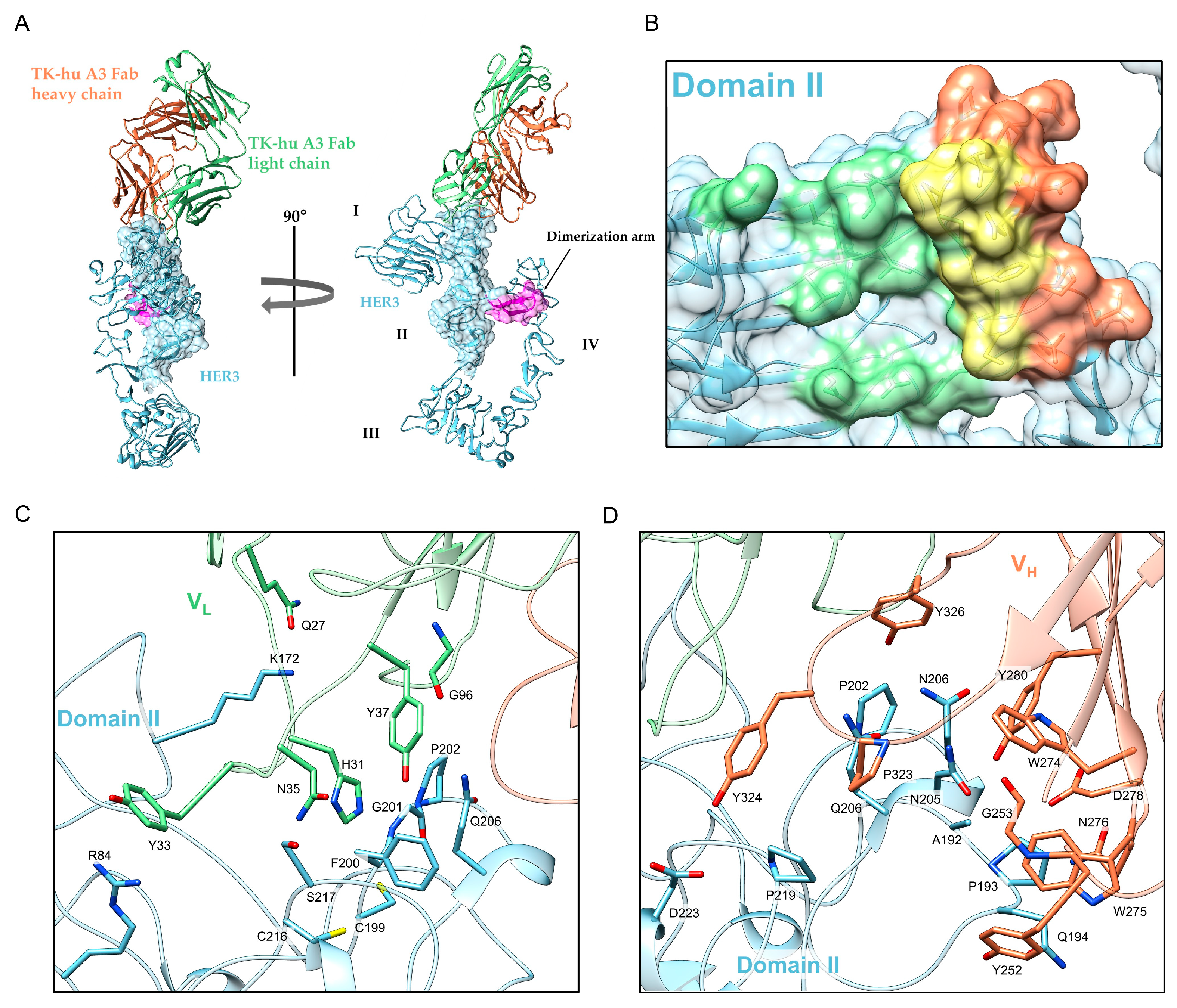 Antibodies 14 00084 g005