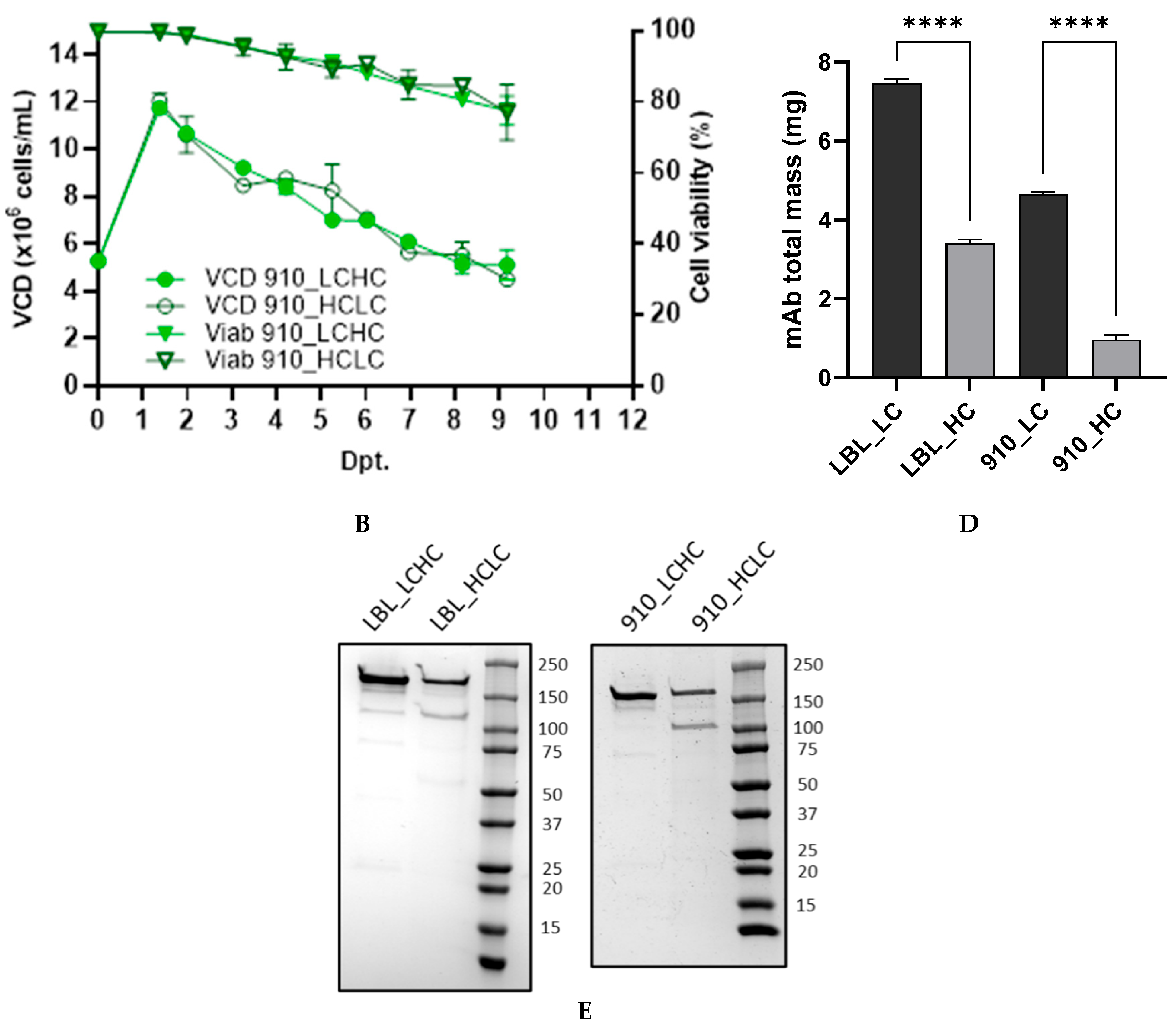Antibodies 14 00086 g002b Antibodies 14 00086 g002b