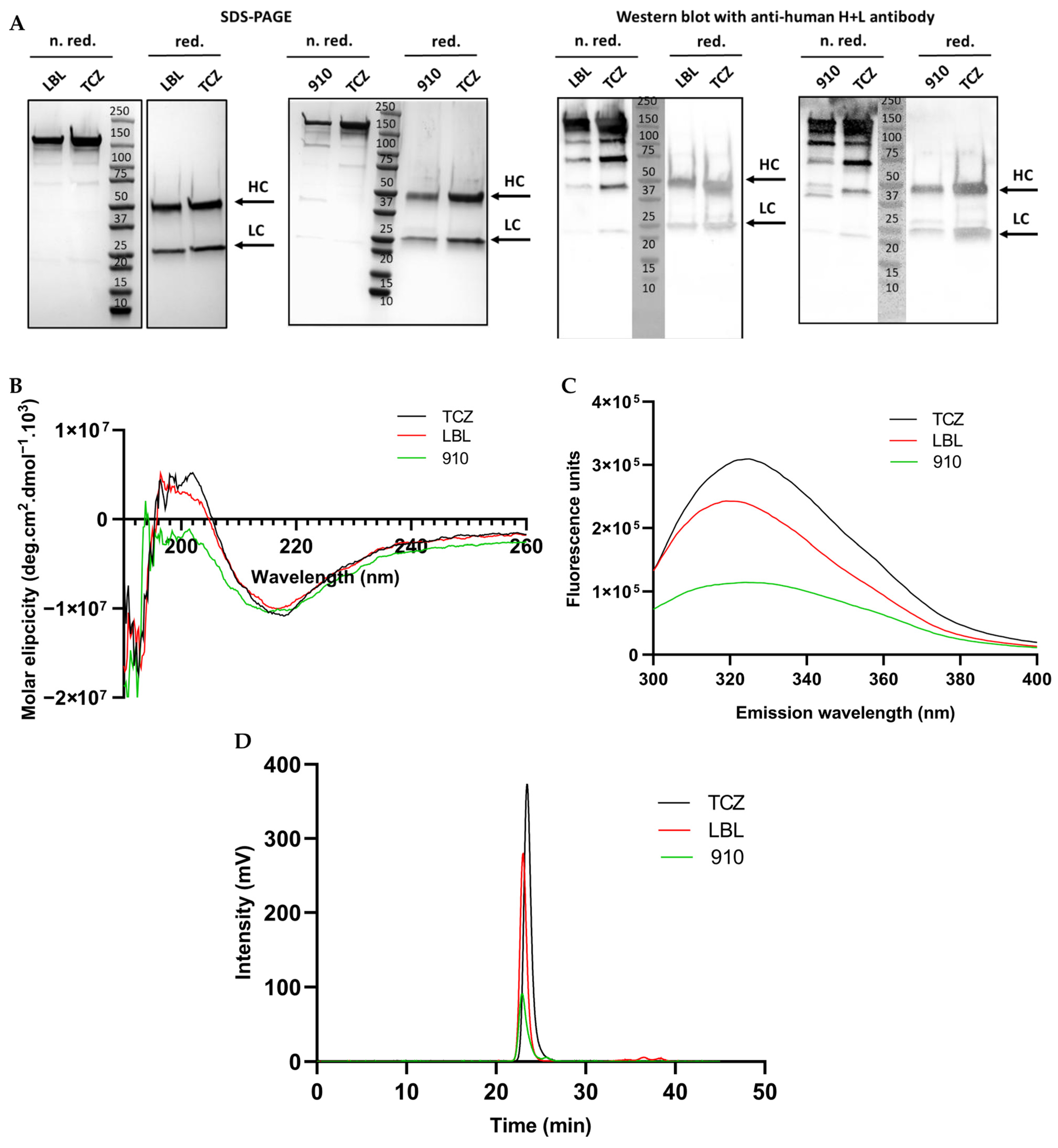 Antibodies 14 00086 g003 Antibodies 14 00086 g003