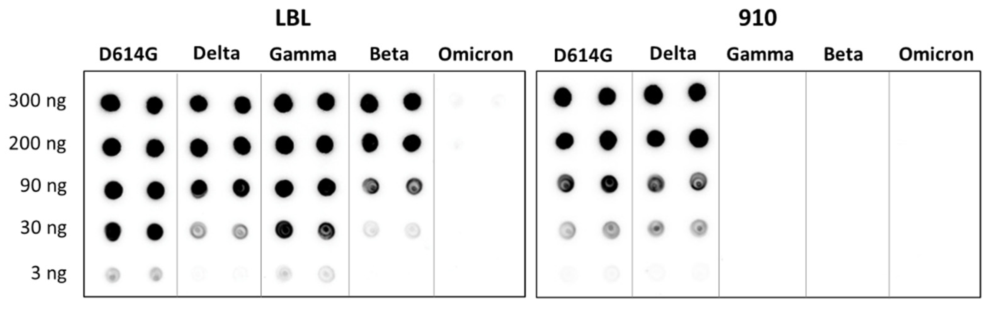 Antibodies 14 00086 g005 Antibodies 14 00086 g005