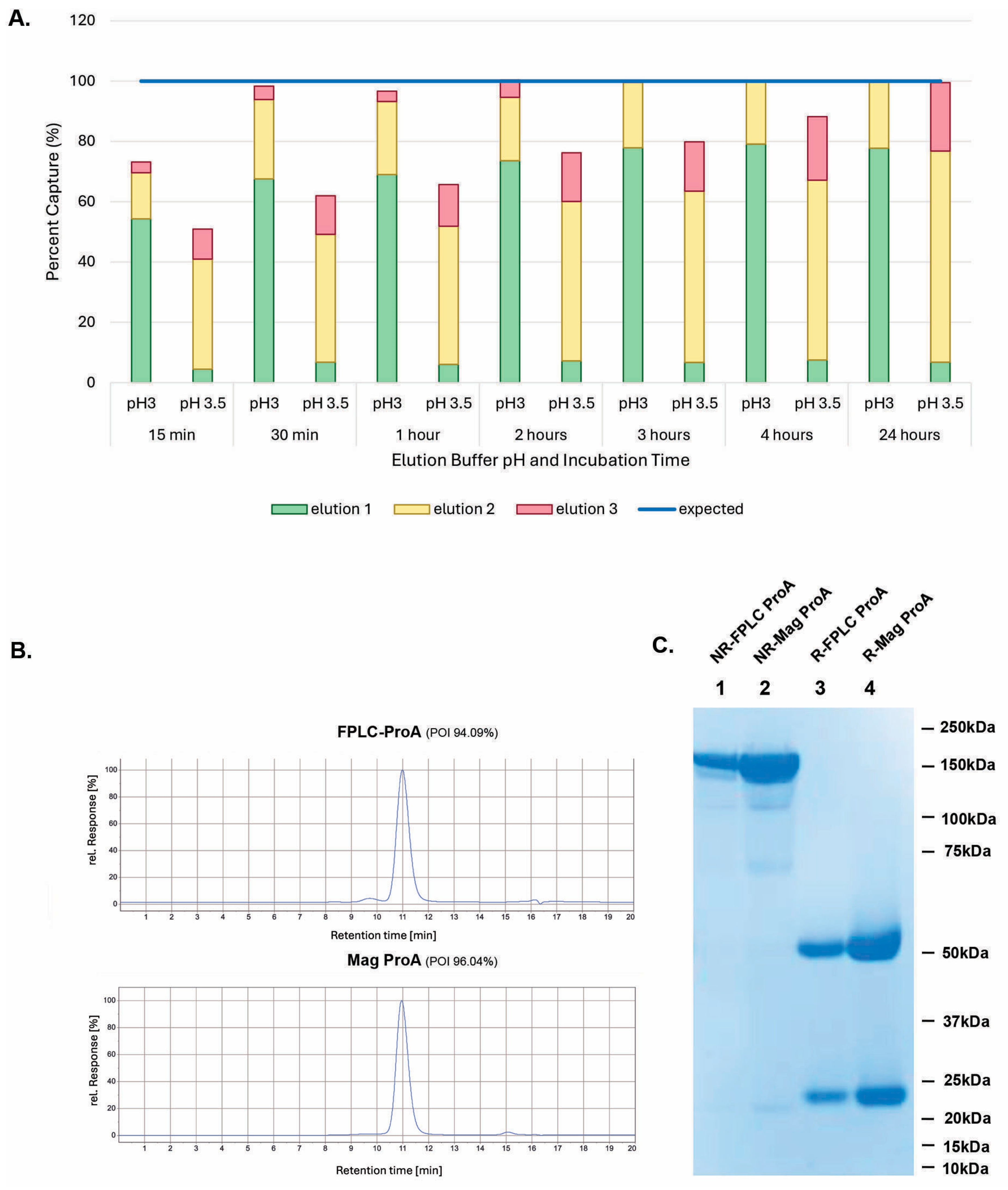 Antibodies 14 00087 g006