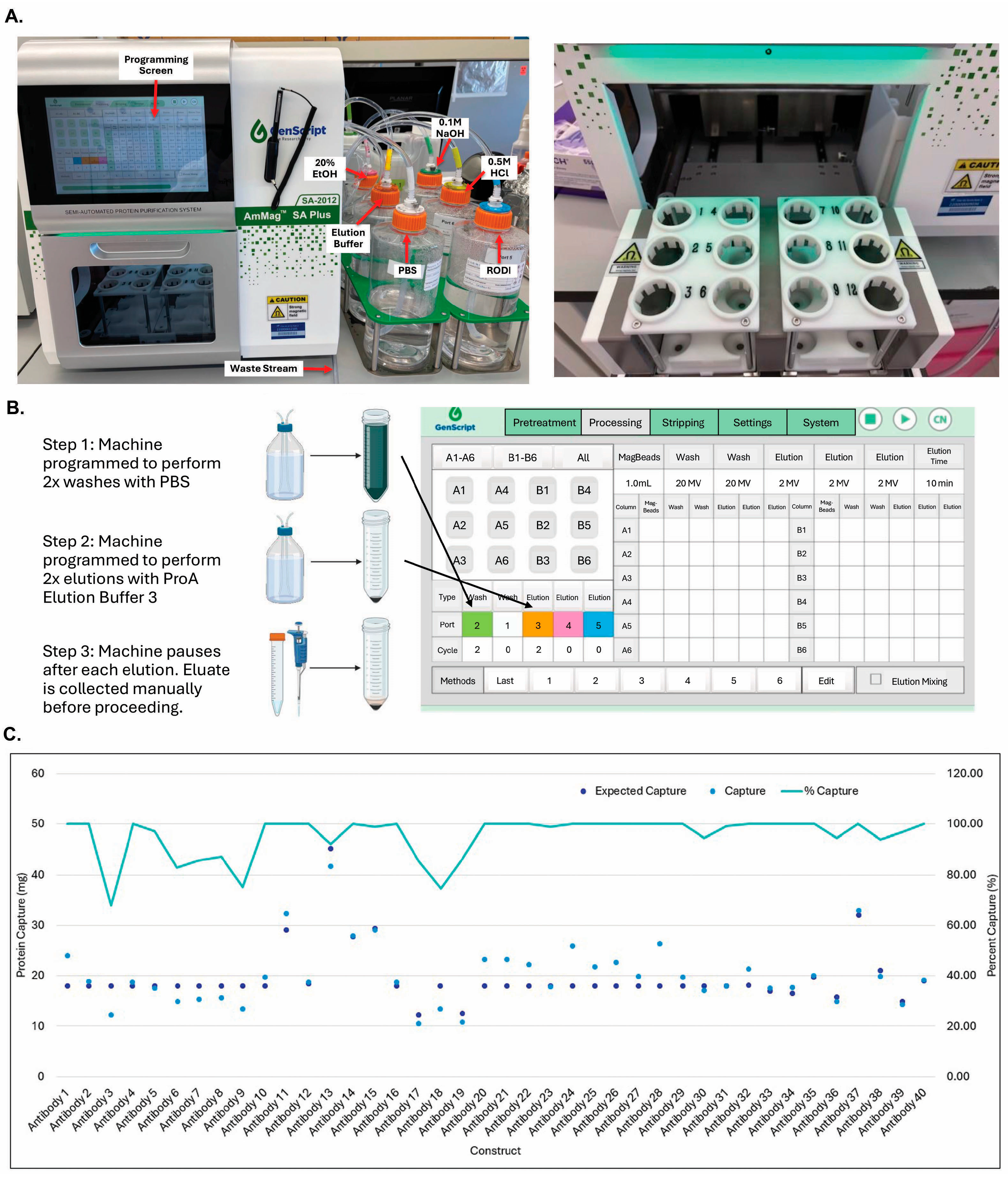 Antibodies 14 00087 g007