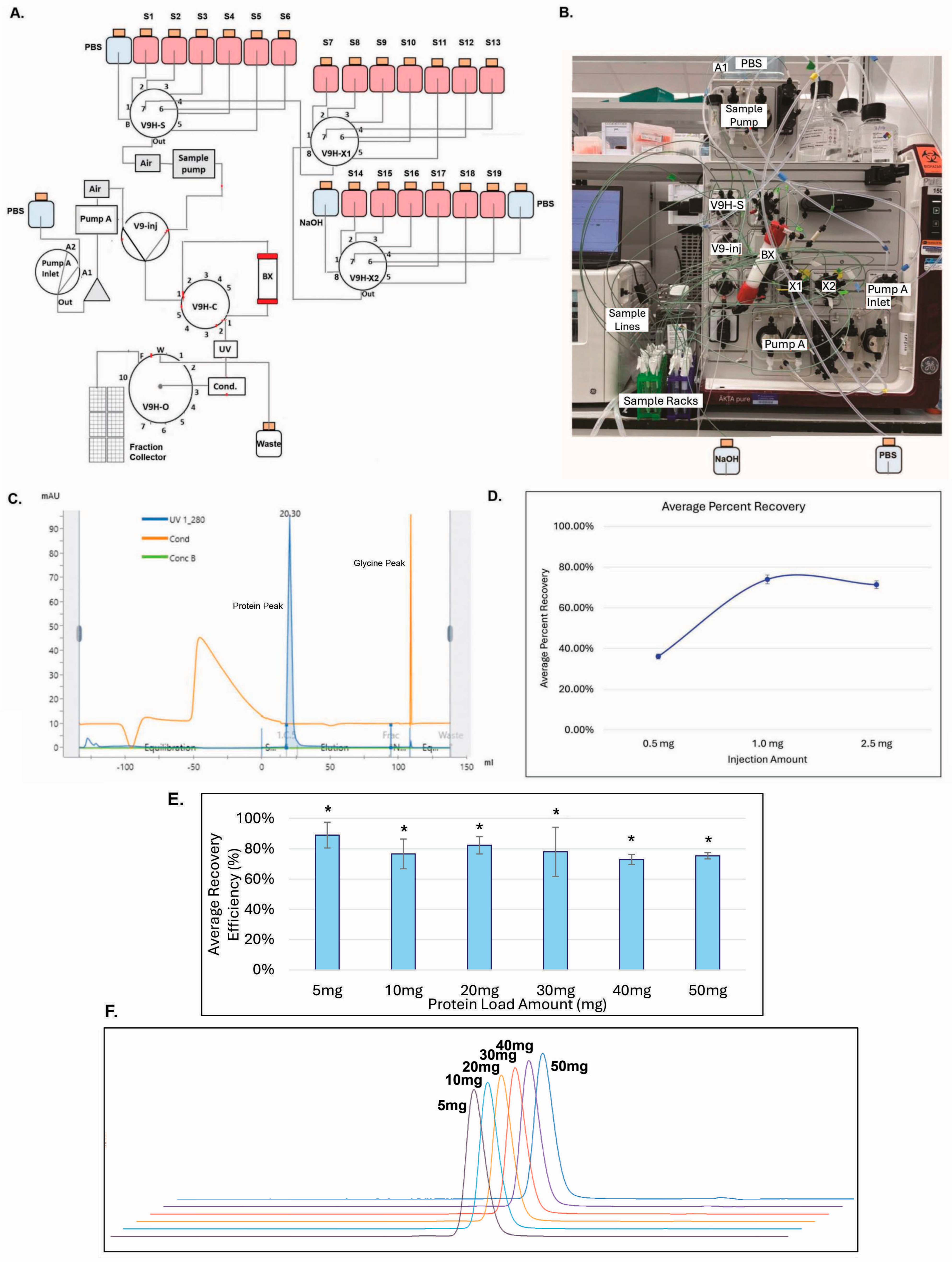 Antibodies 14 00087 g008