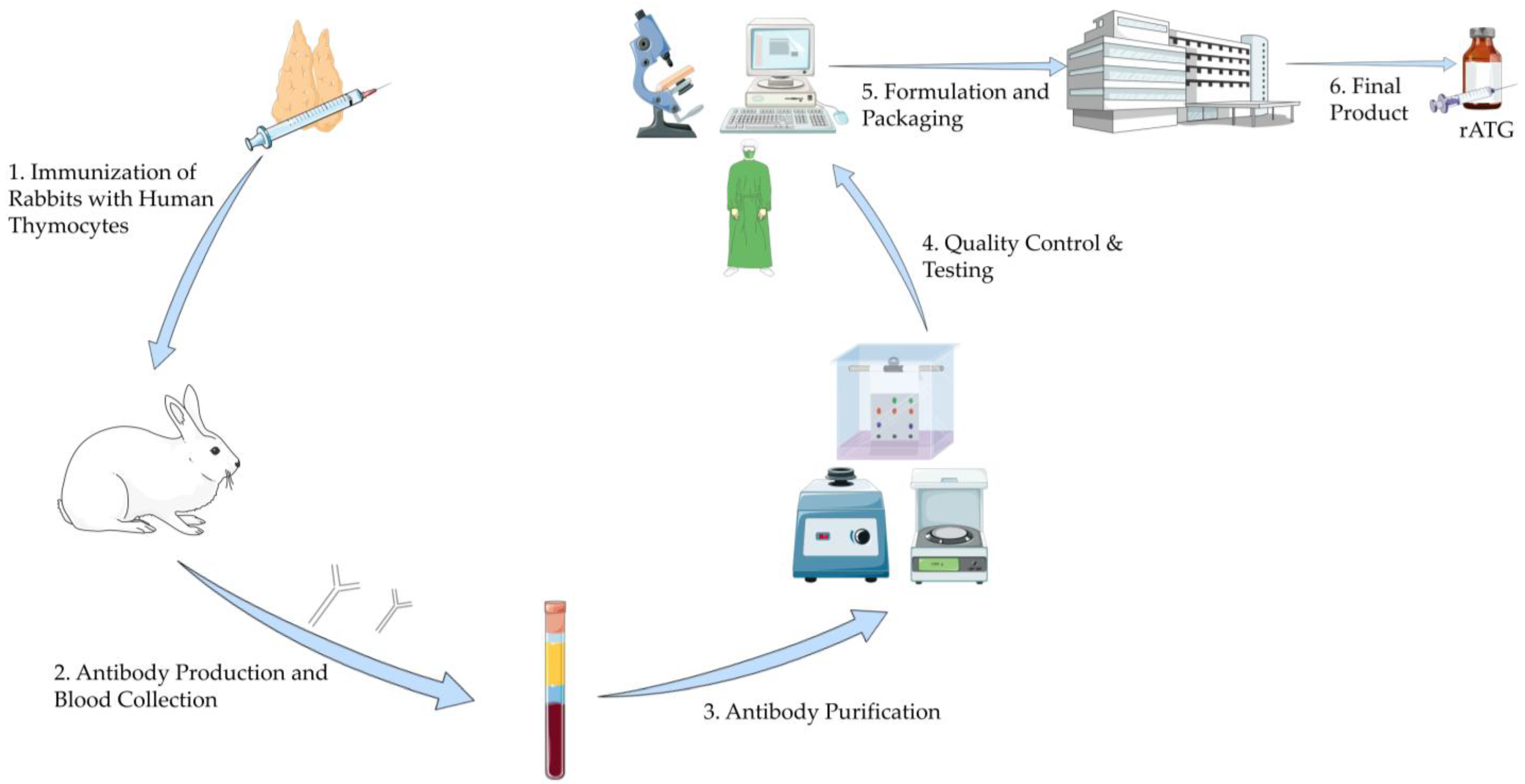 Antibodies 14 00092 g001