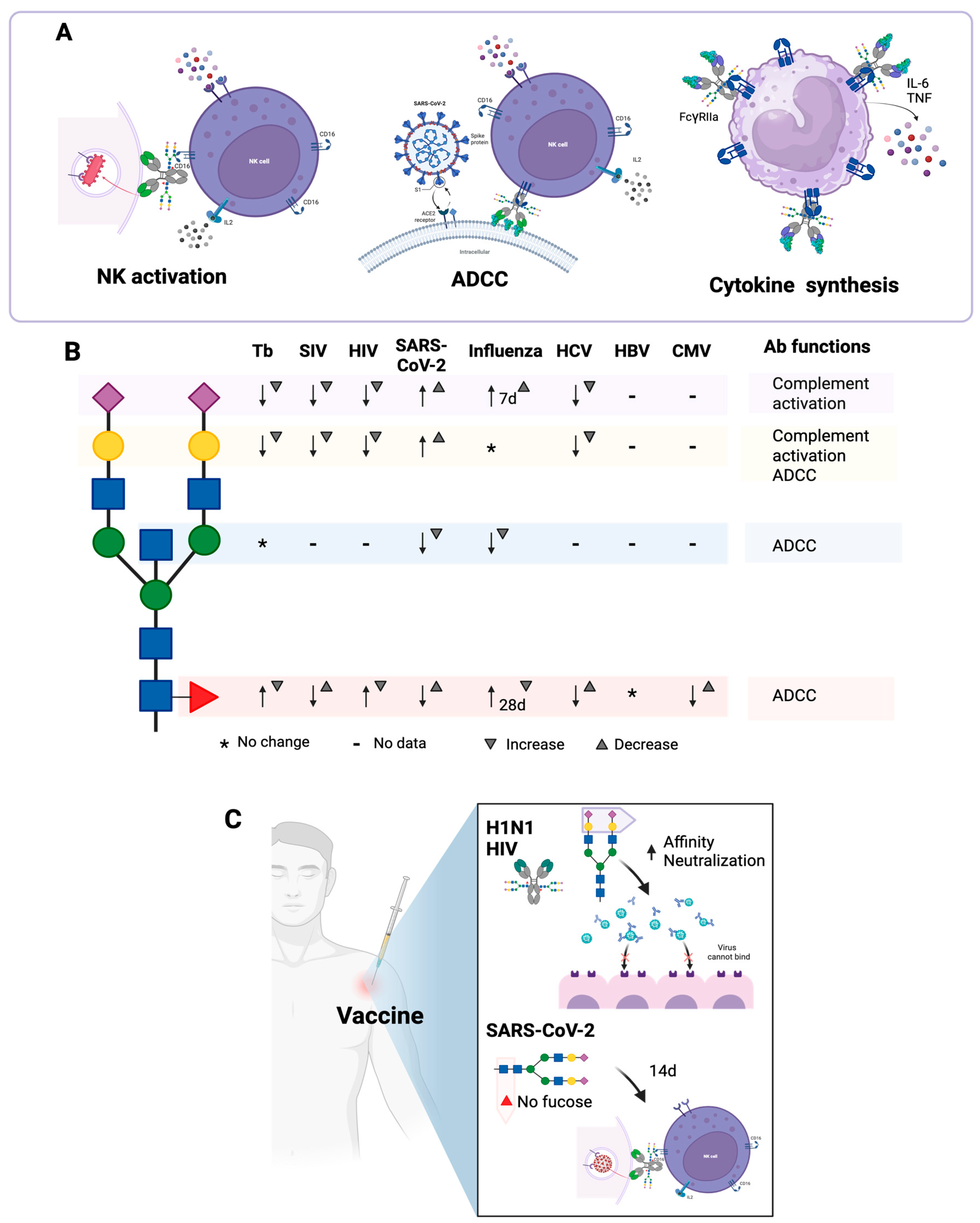 Antibodies 14 00093 g005 Antibodies 14 00093 g005