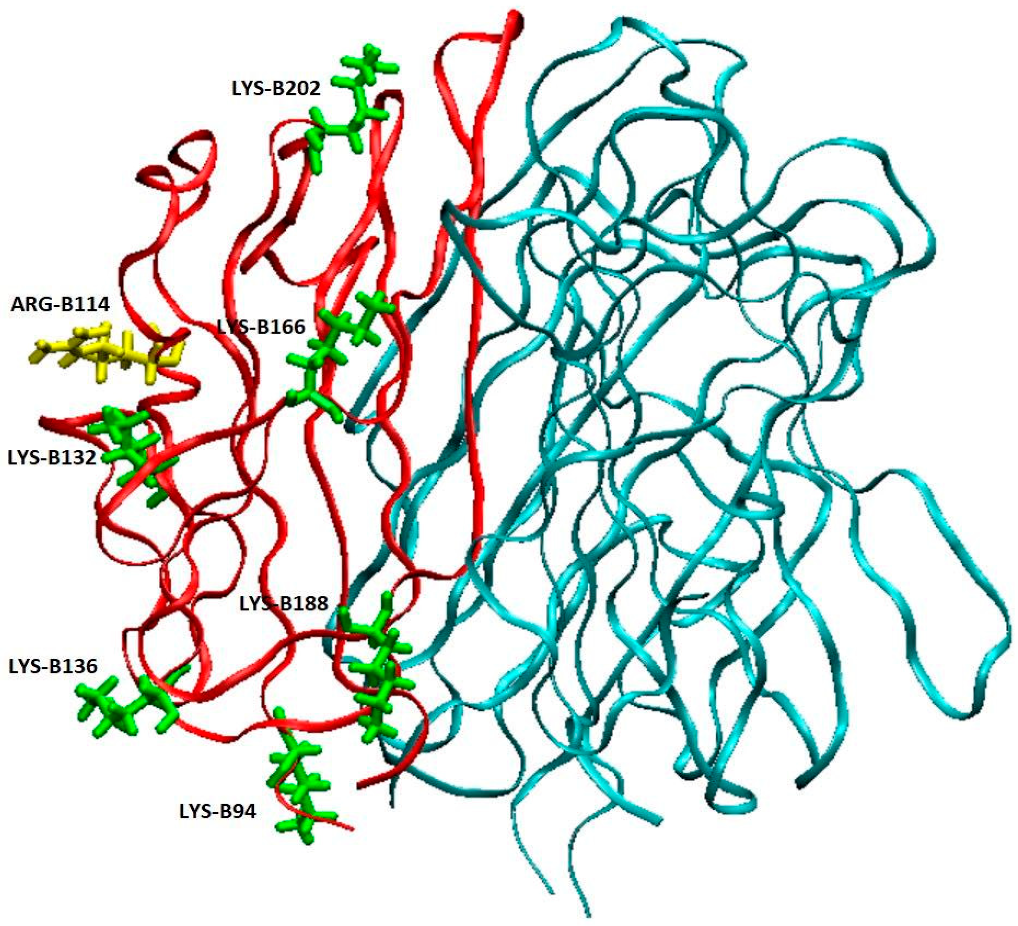 Antibodies 14 00094 g005 Antibodies 14 00094 g005