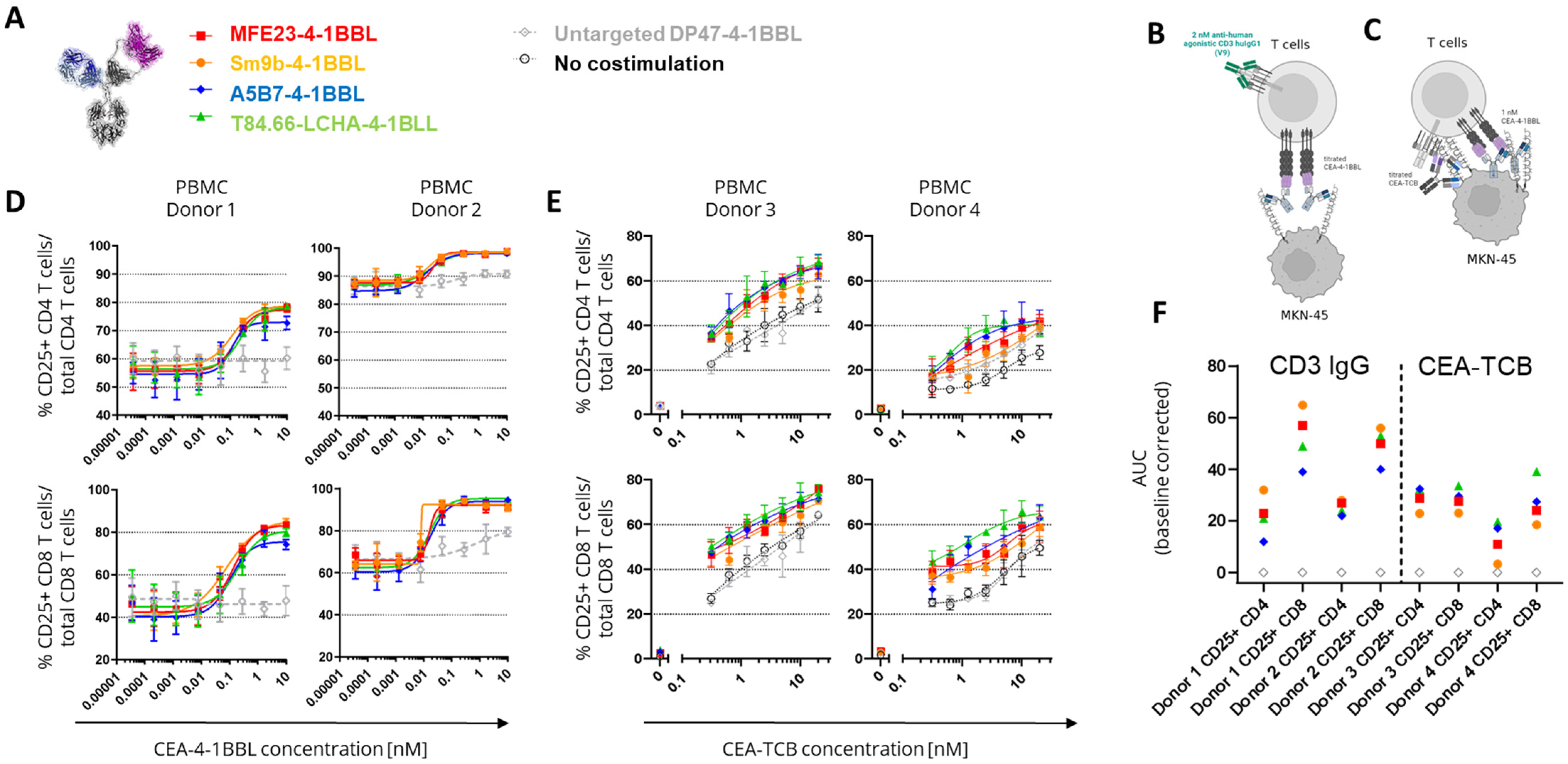 Antibodies 14 00096 g002