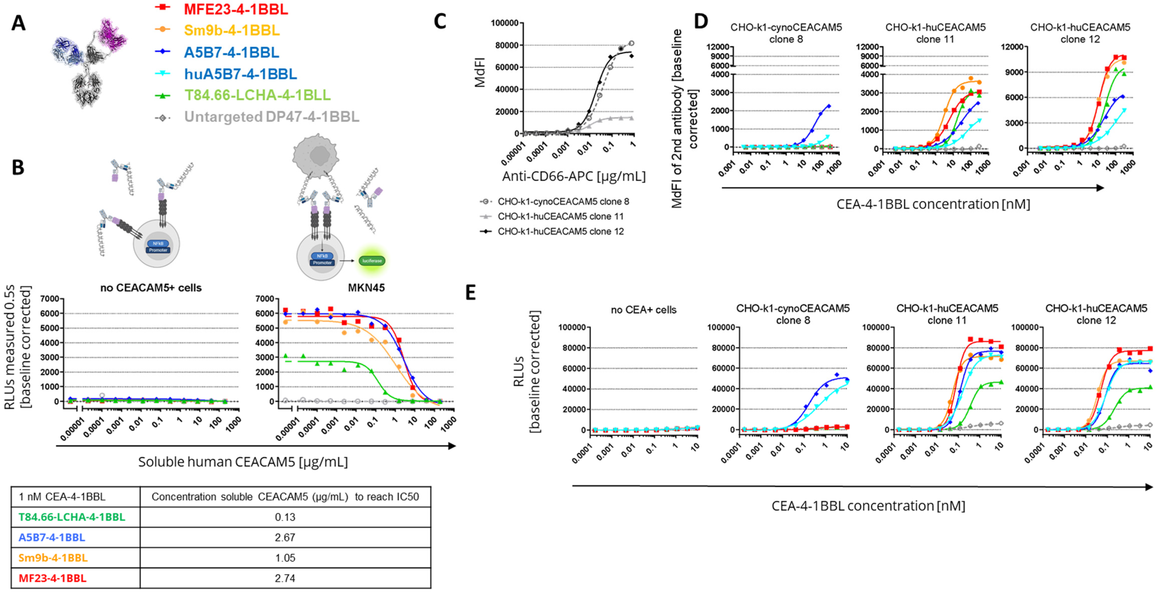 Antibodies 14 00096 g003