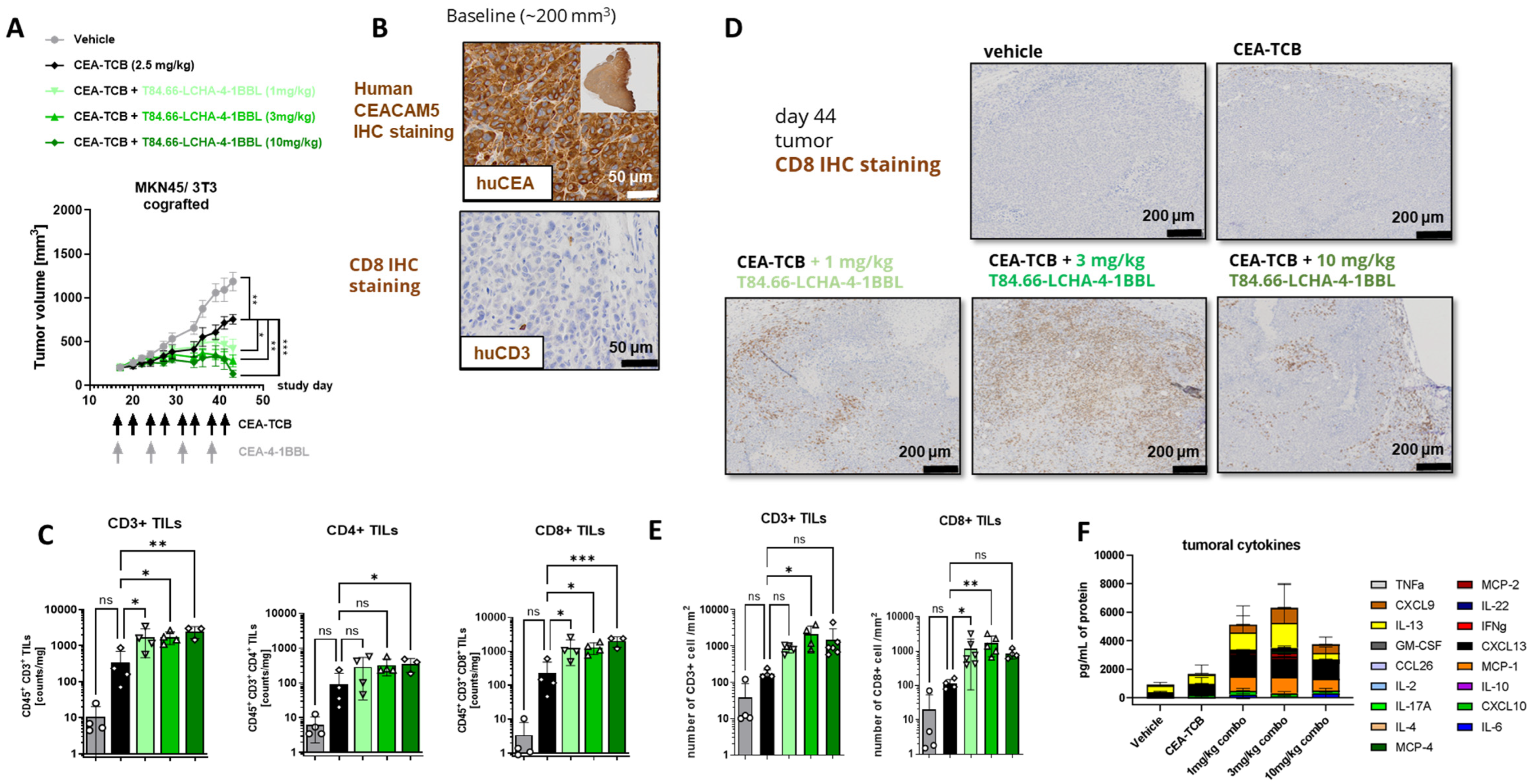 Antibodies 14 00096 g005