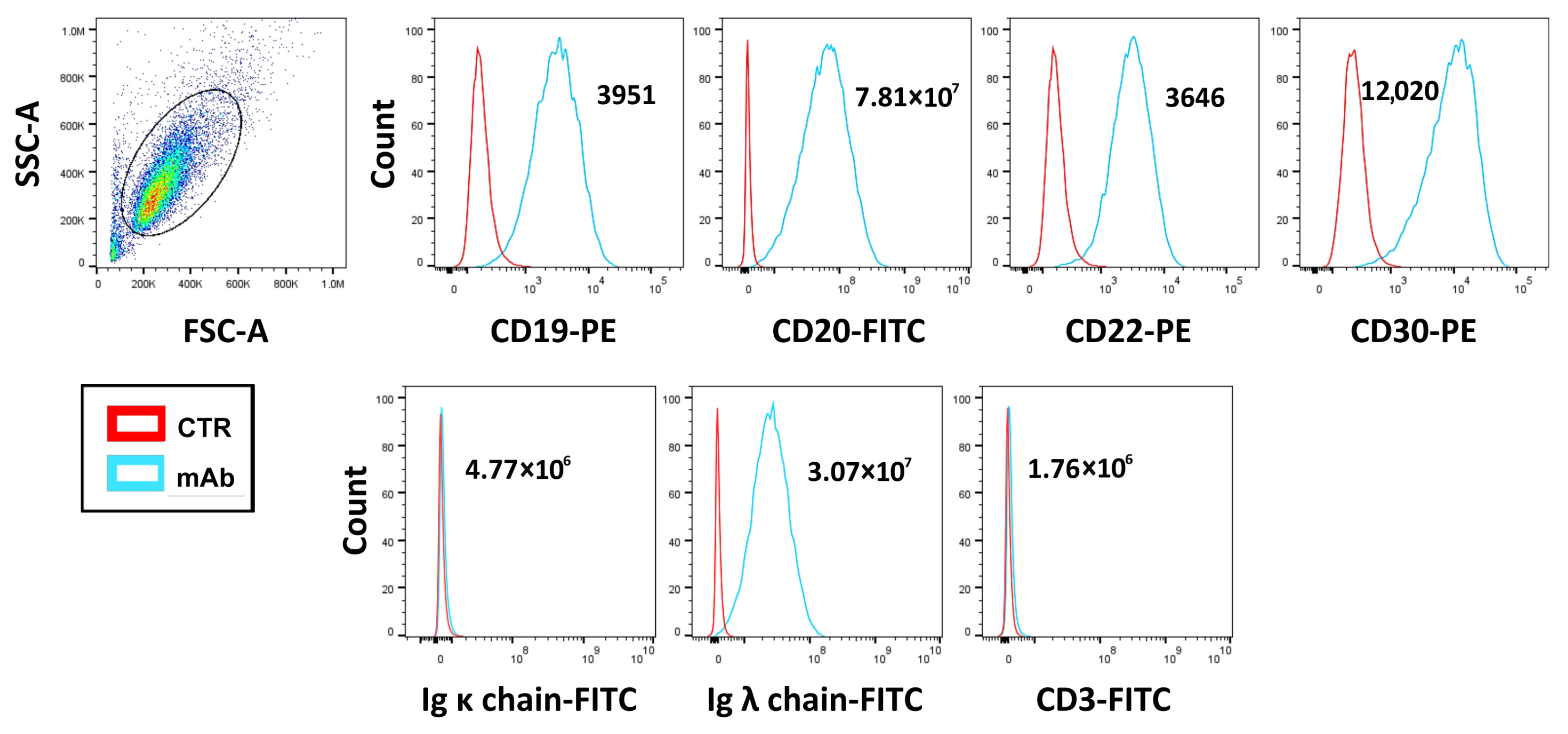 Antibodies 14 00098 g001