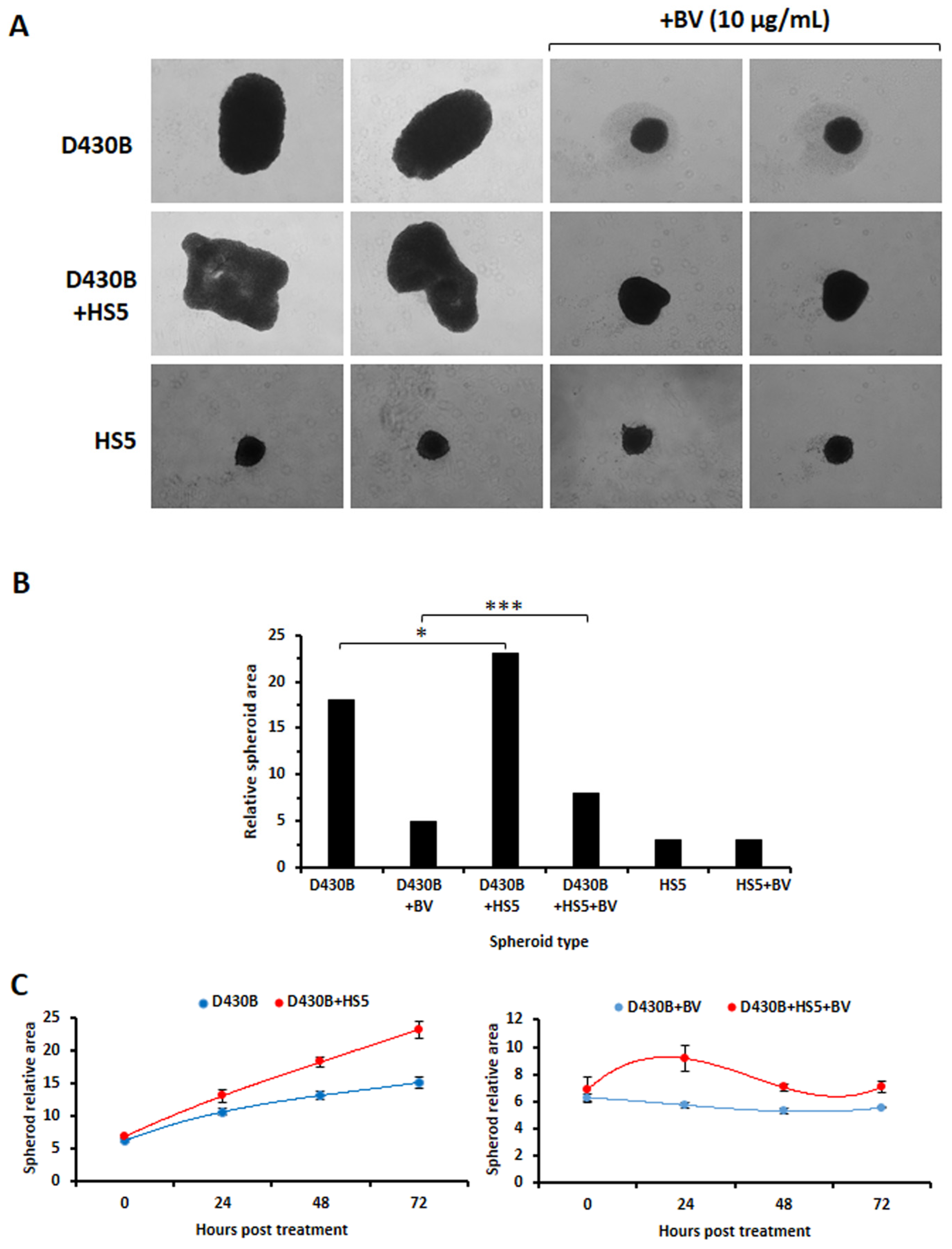 Antibodies 14 00098 g007