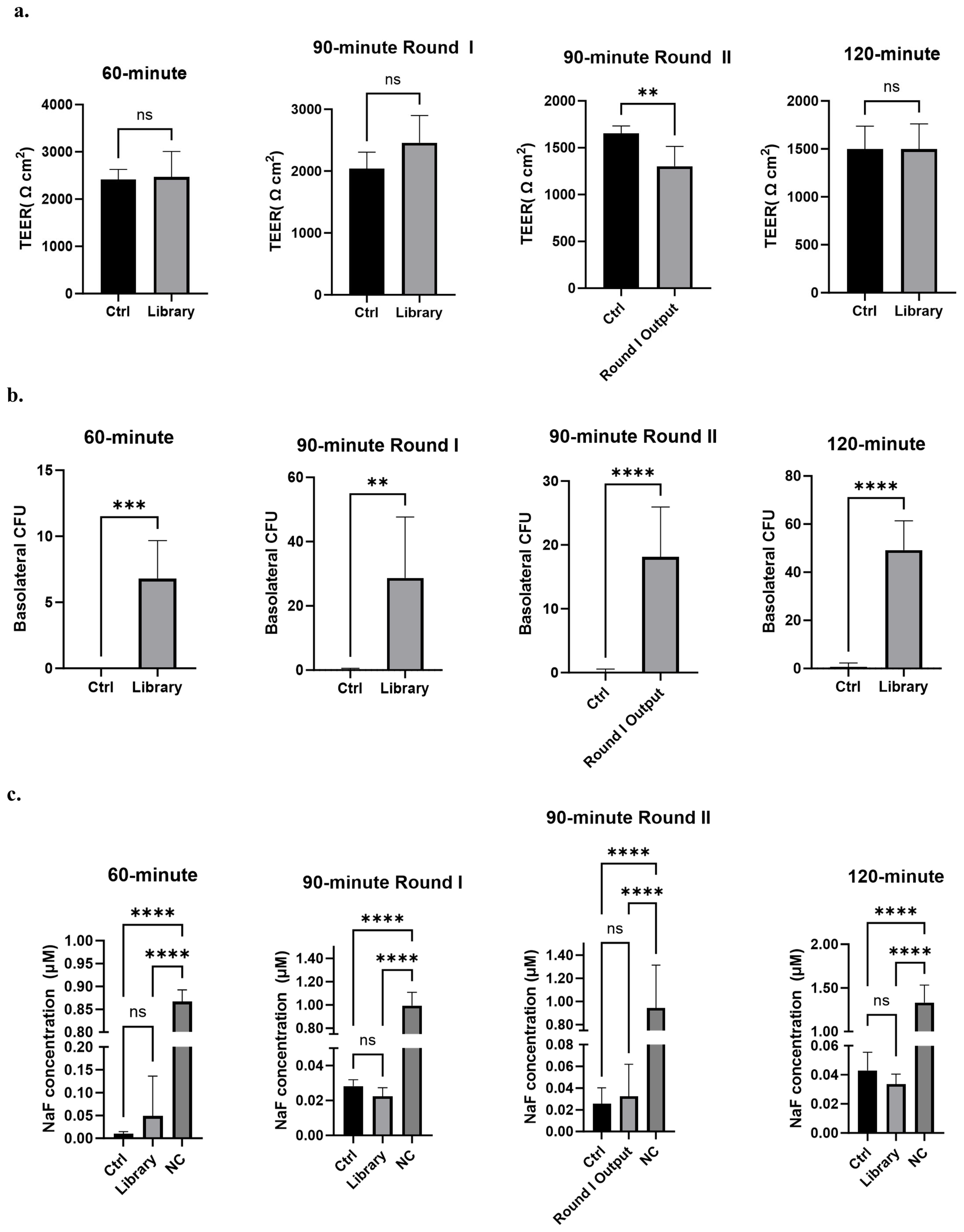 Antibodies 14 00102 g002