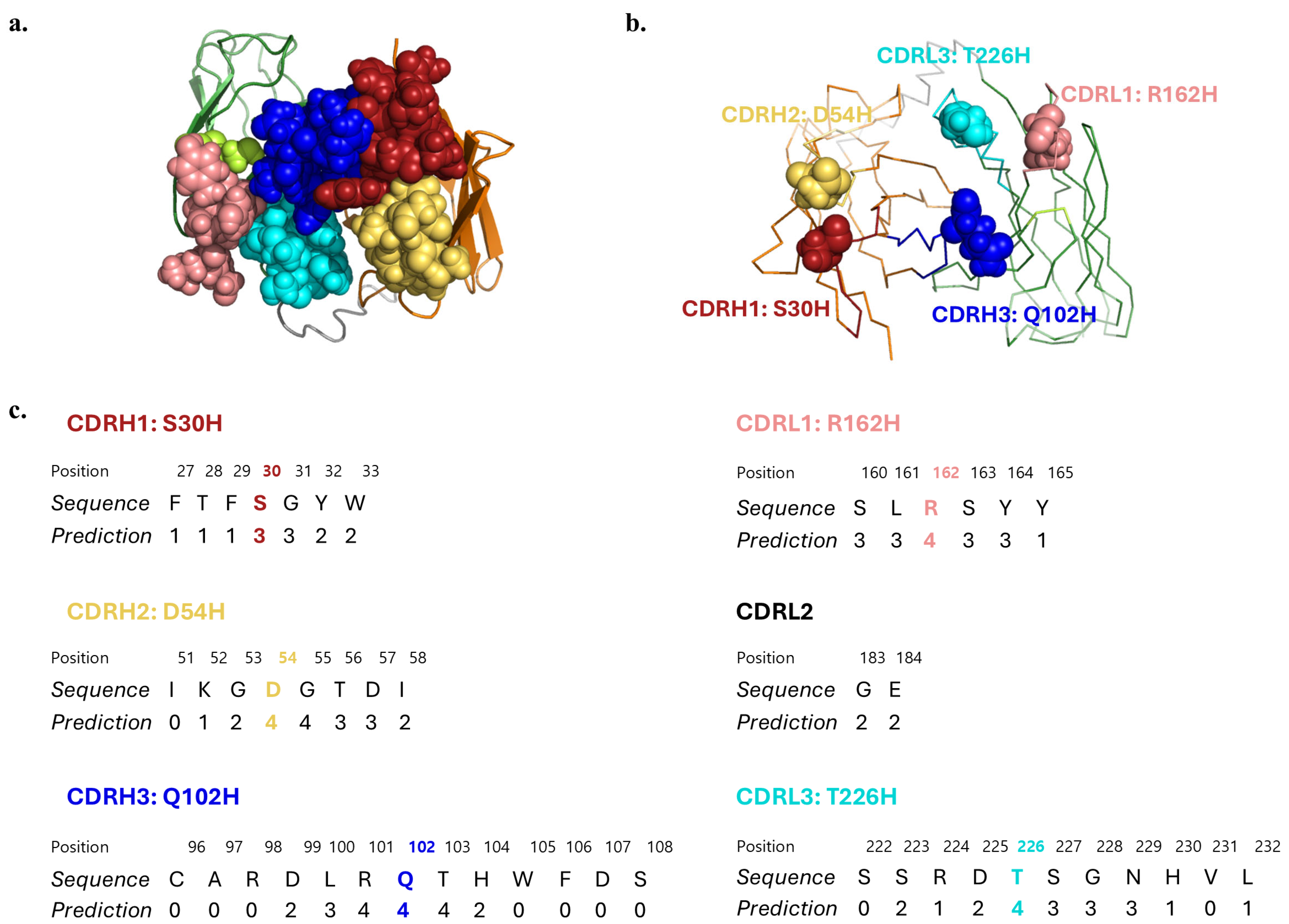 Antibodies 14 00102 g005