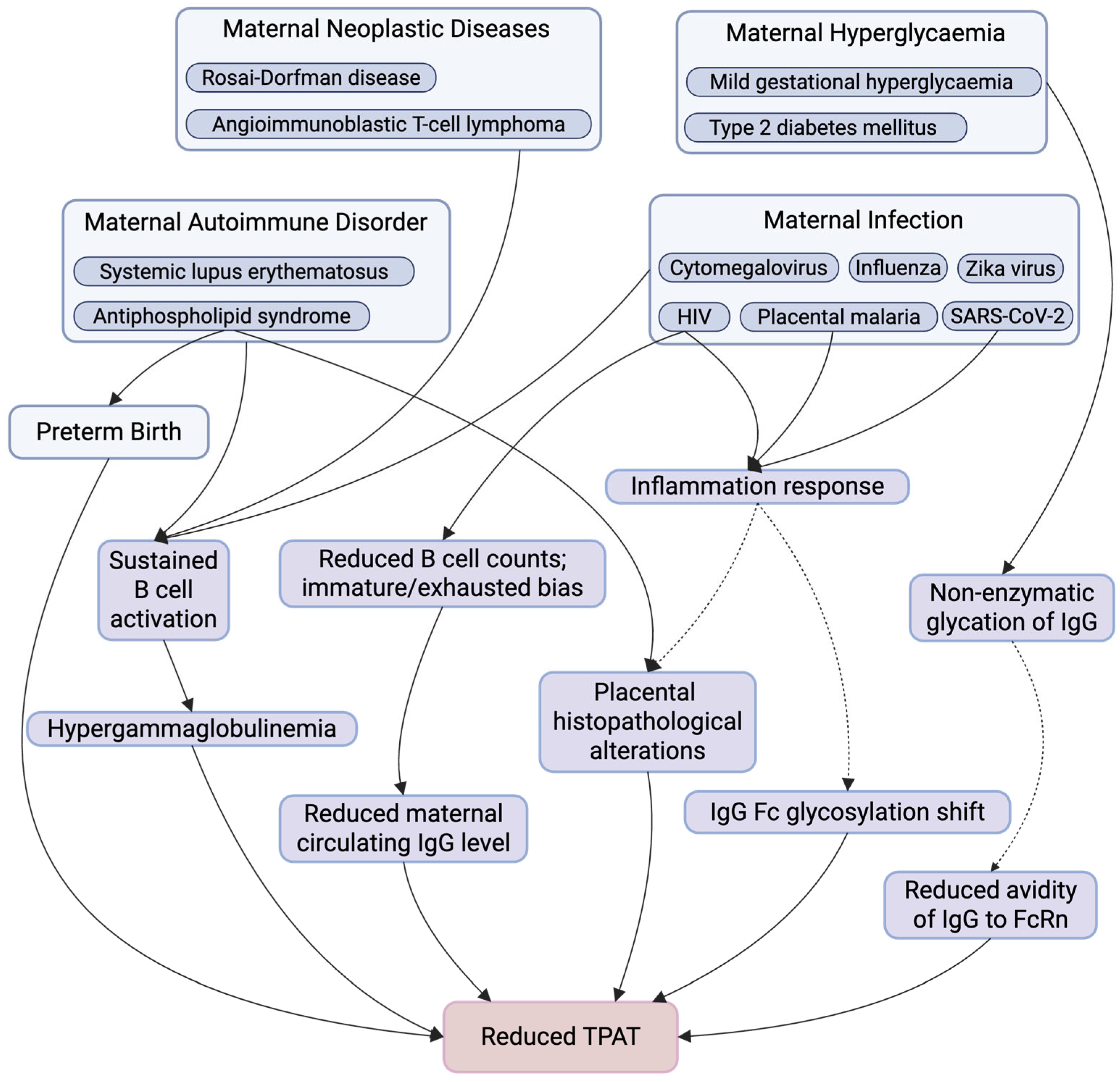 Antibodies 15 00014 g002