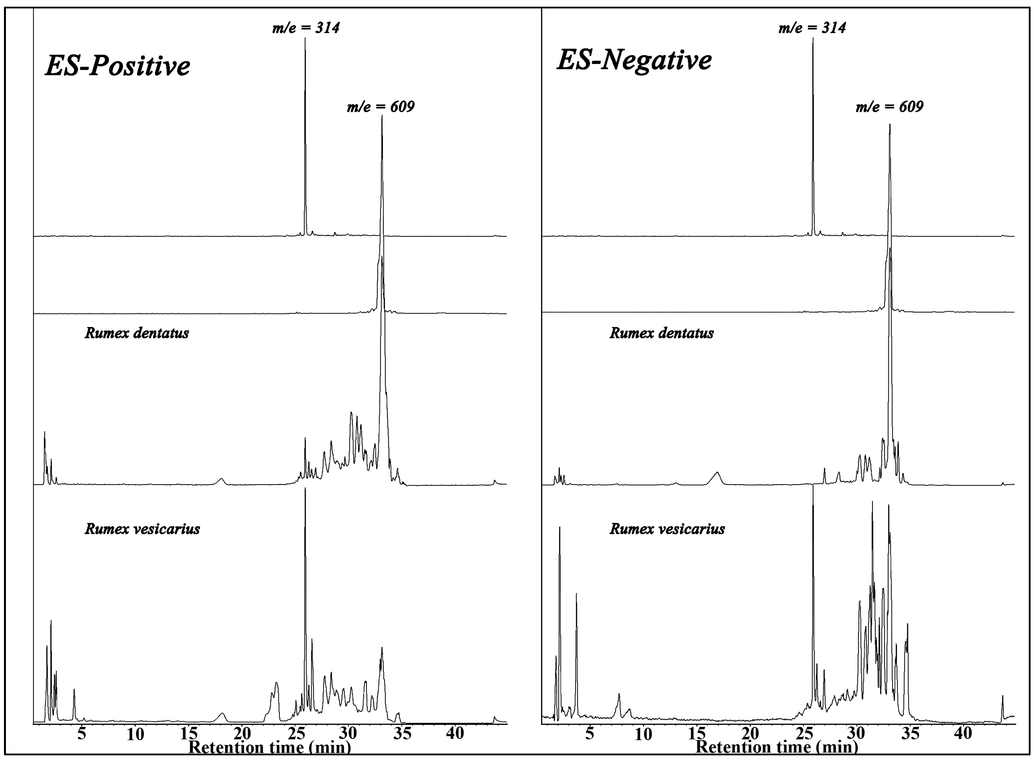 Antioxidants 02 00167 g006 1024
