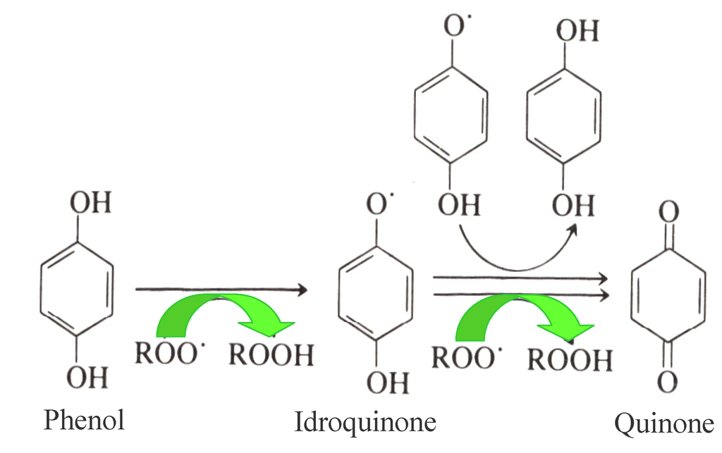 Image result for phenol antioxidant mechanism