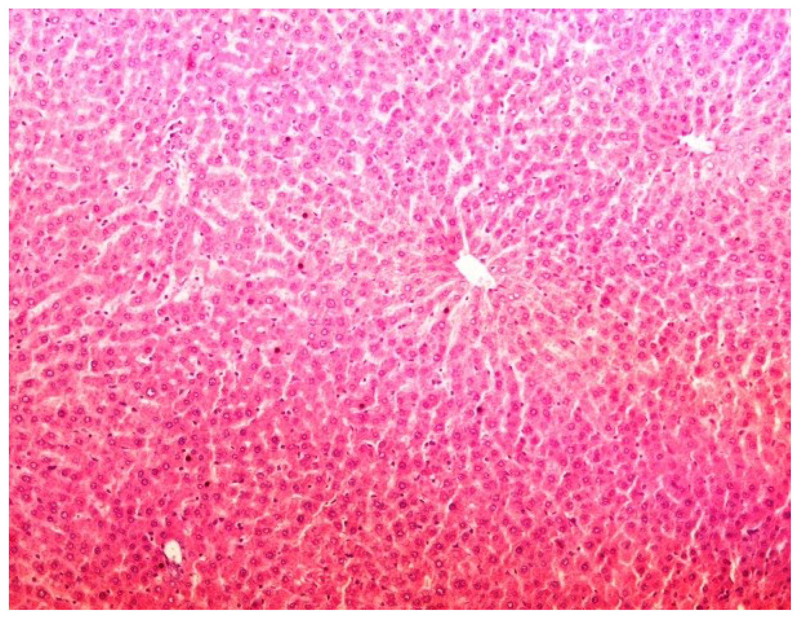 Antioxidants 03 00798 g002