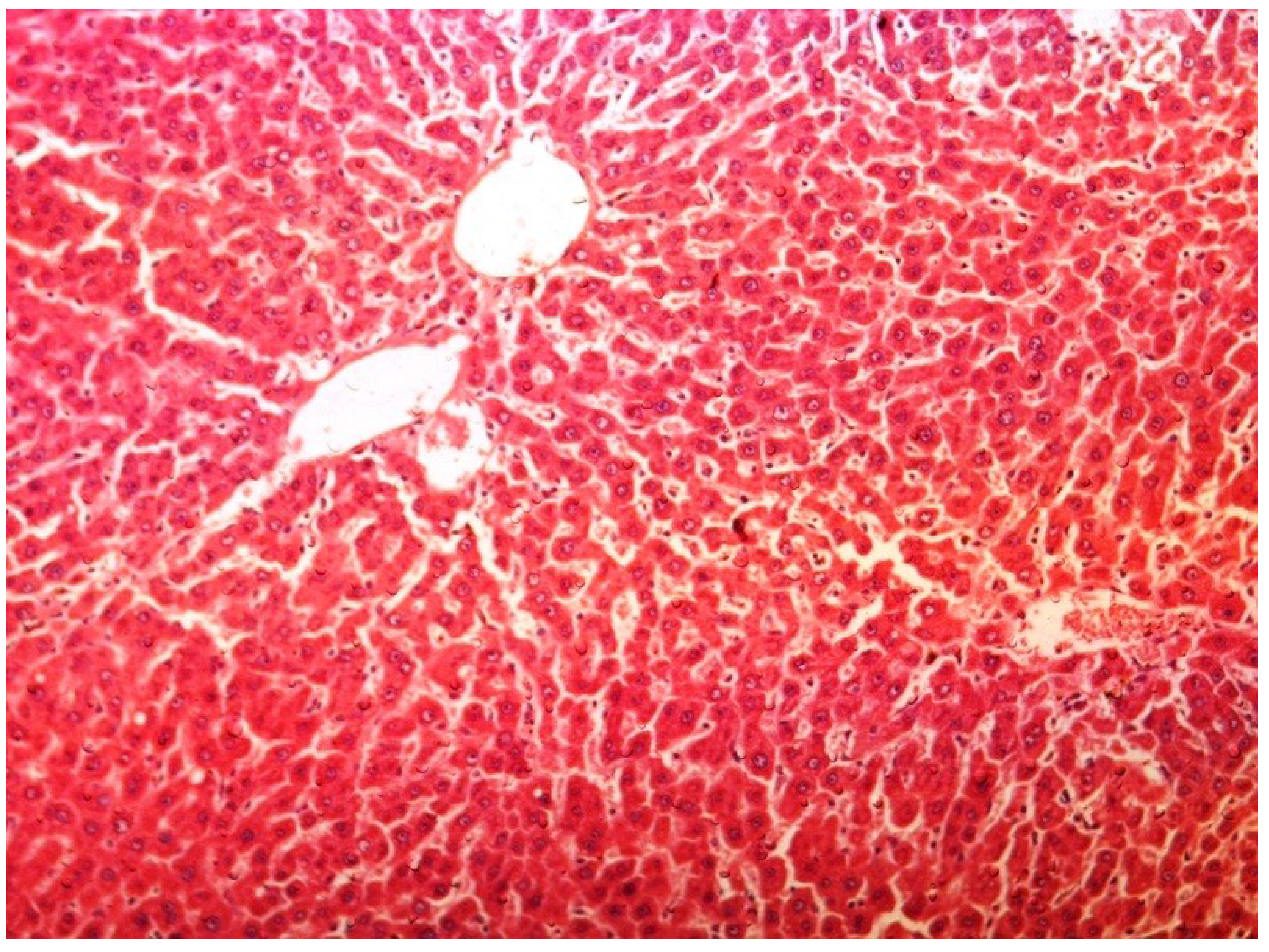 Antioxidants 03 00798 g007