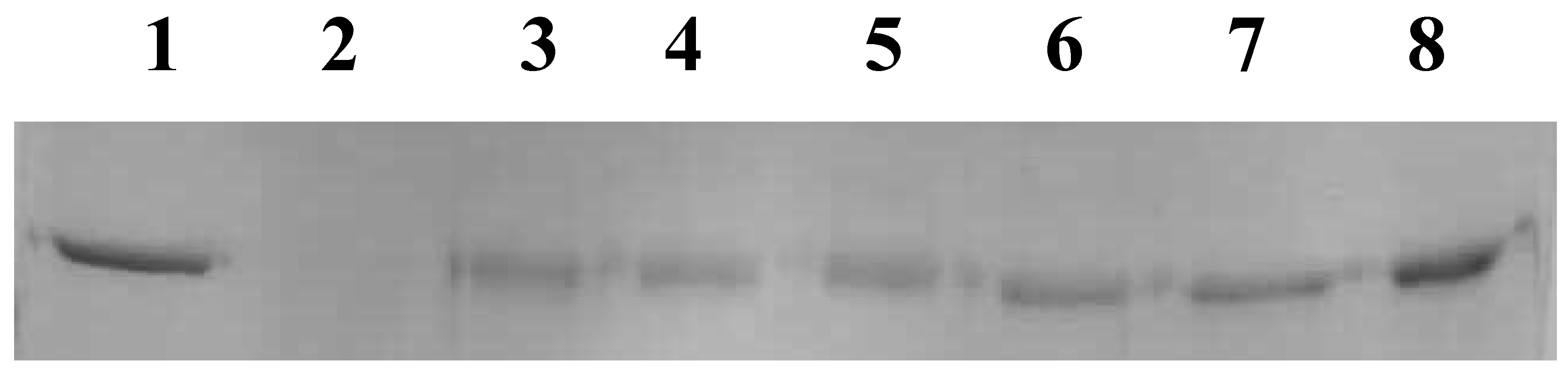 Antioxidants 04 00185 g004