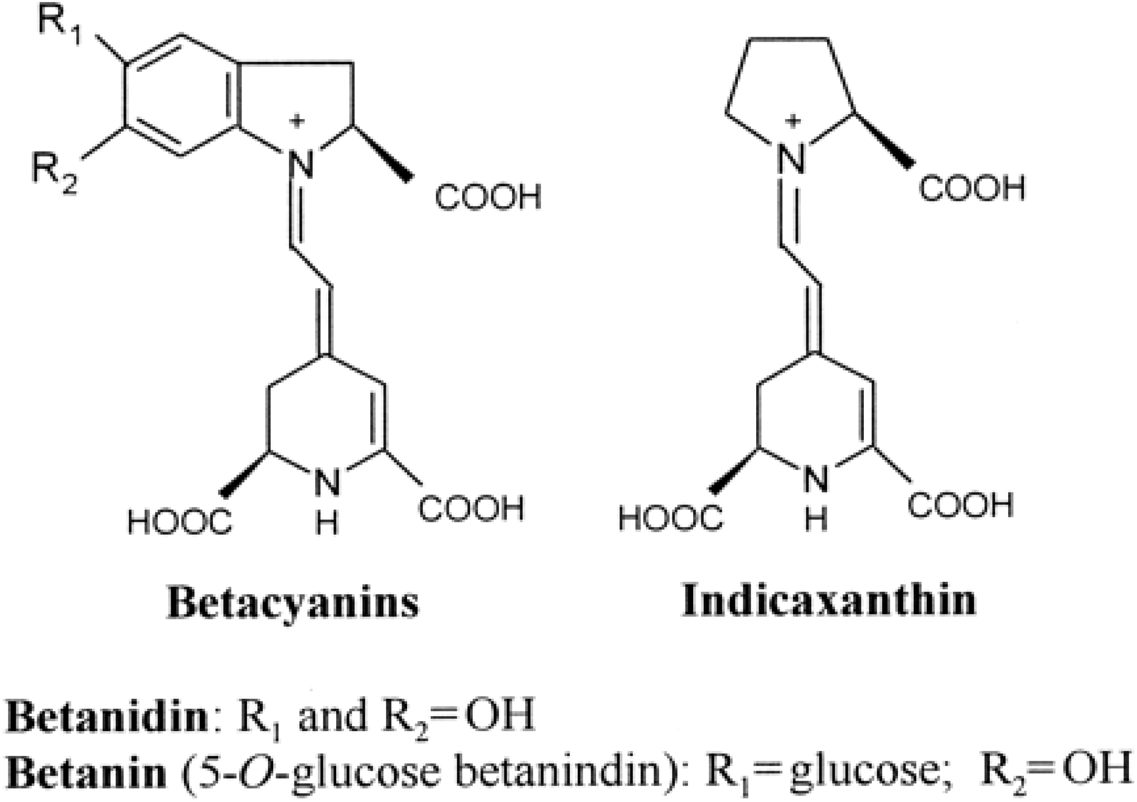 Antioxidants | Free Full-Text | Betalains, Phenols and Antioxidant ...