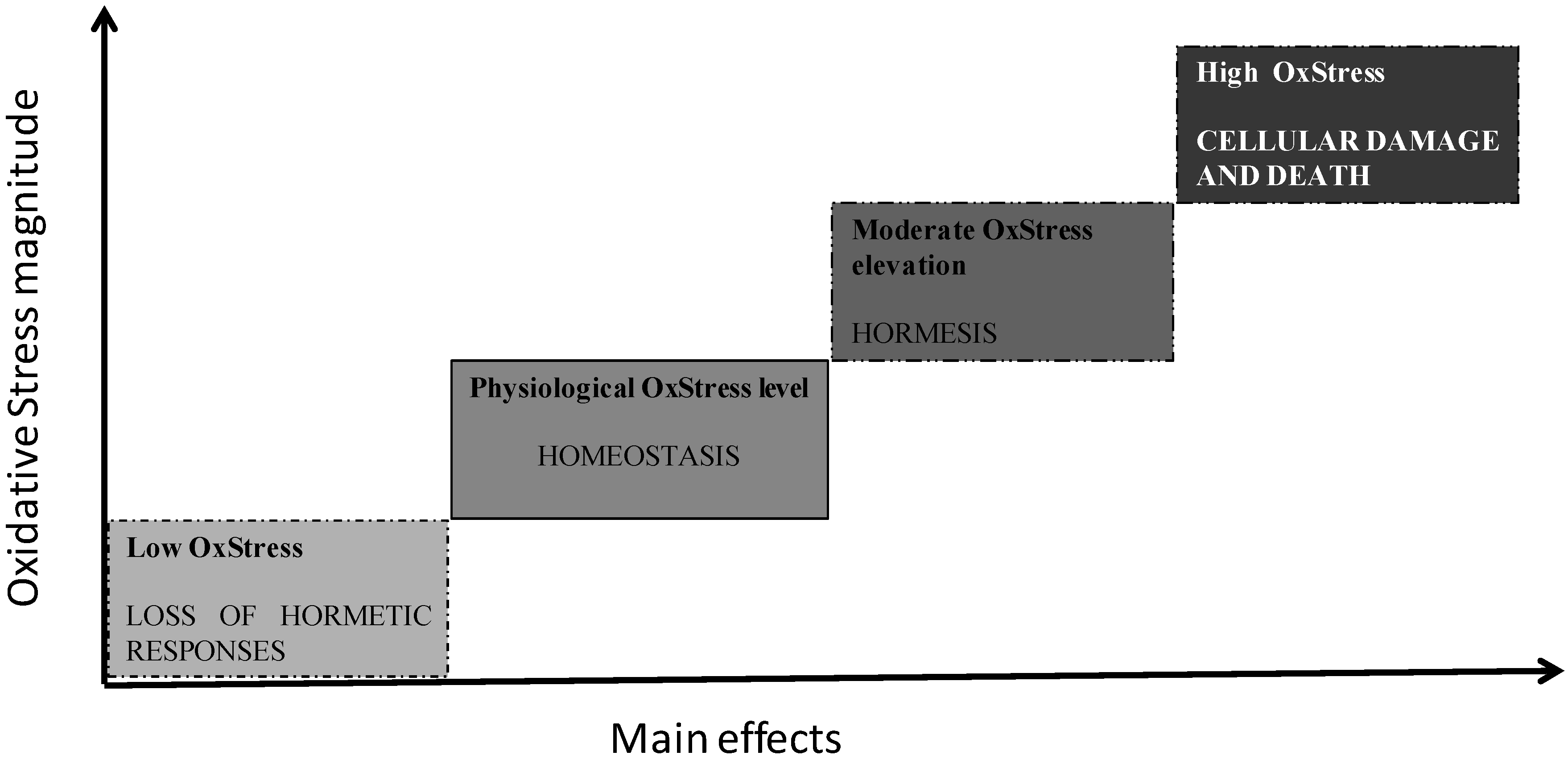 Antioxidants 04 00719 g002